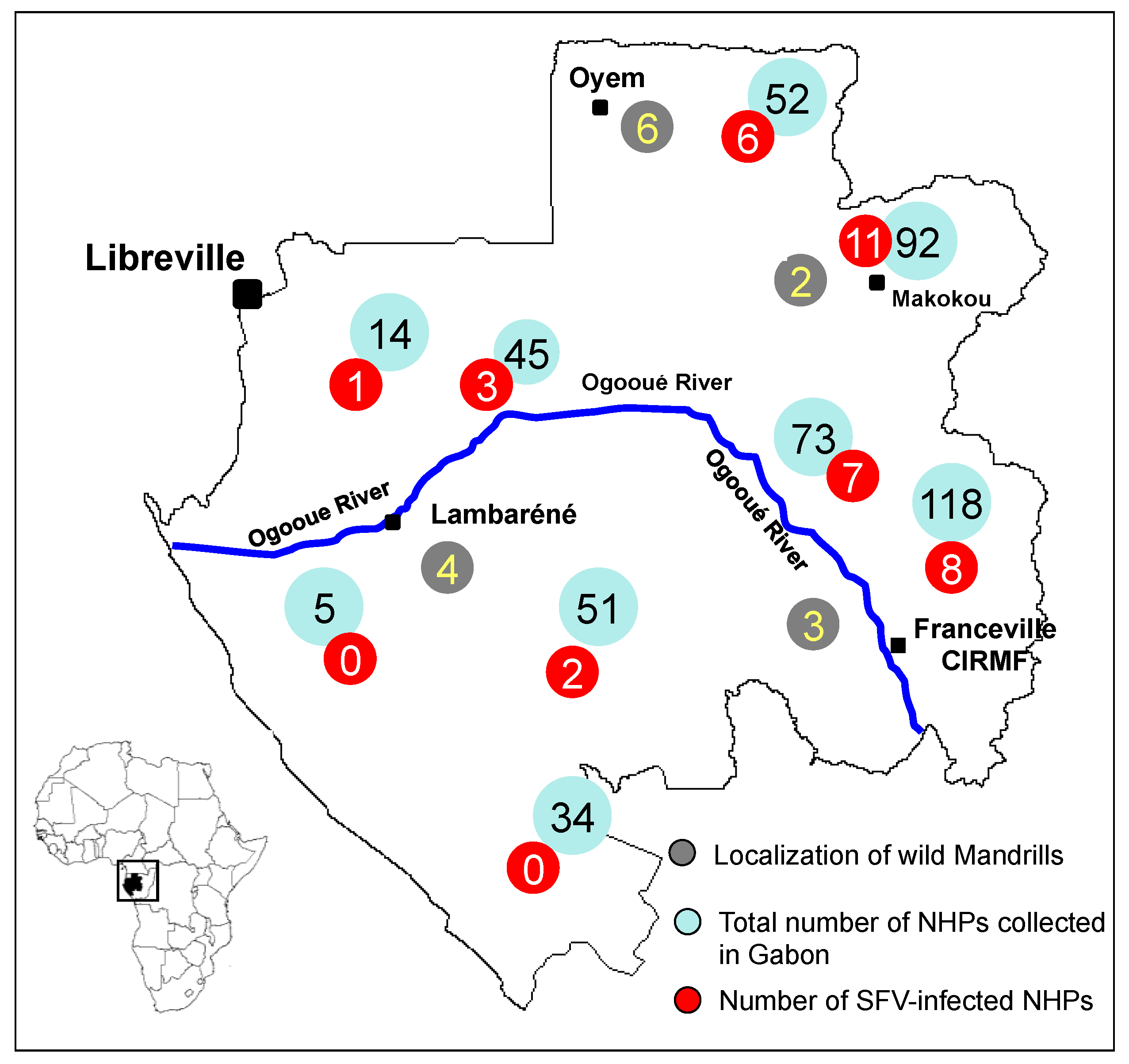 Viruses 05 01536 g003 1024