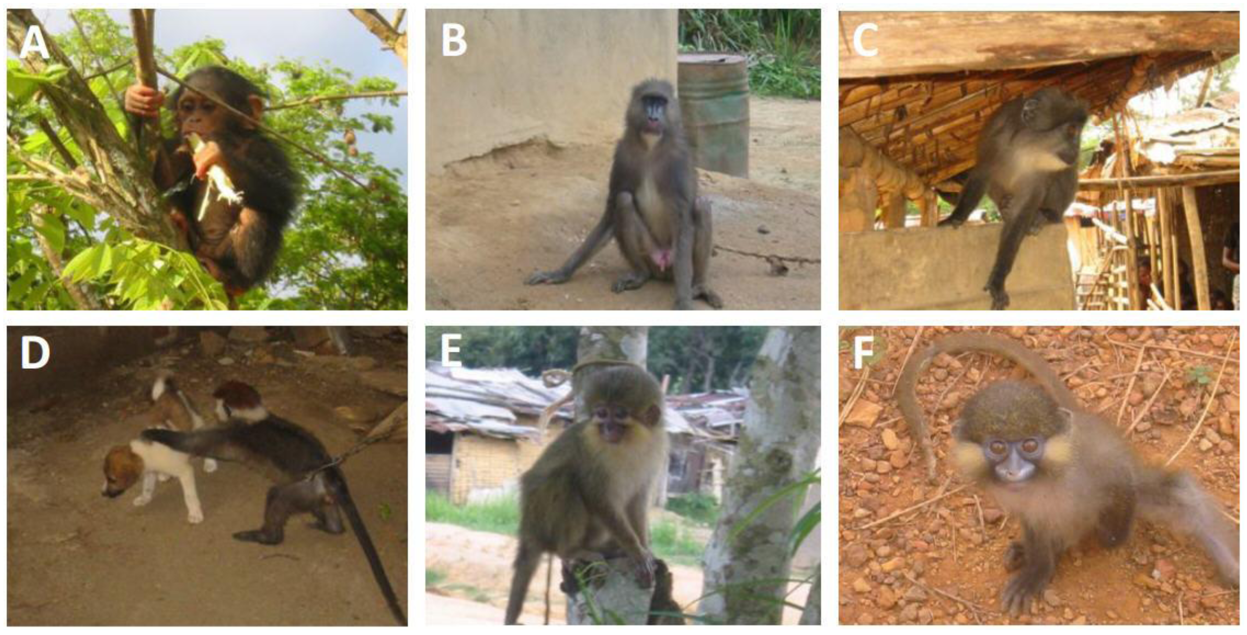 Viruses 05 01536 g005 1024