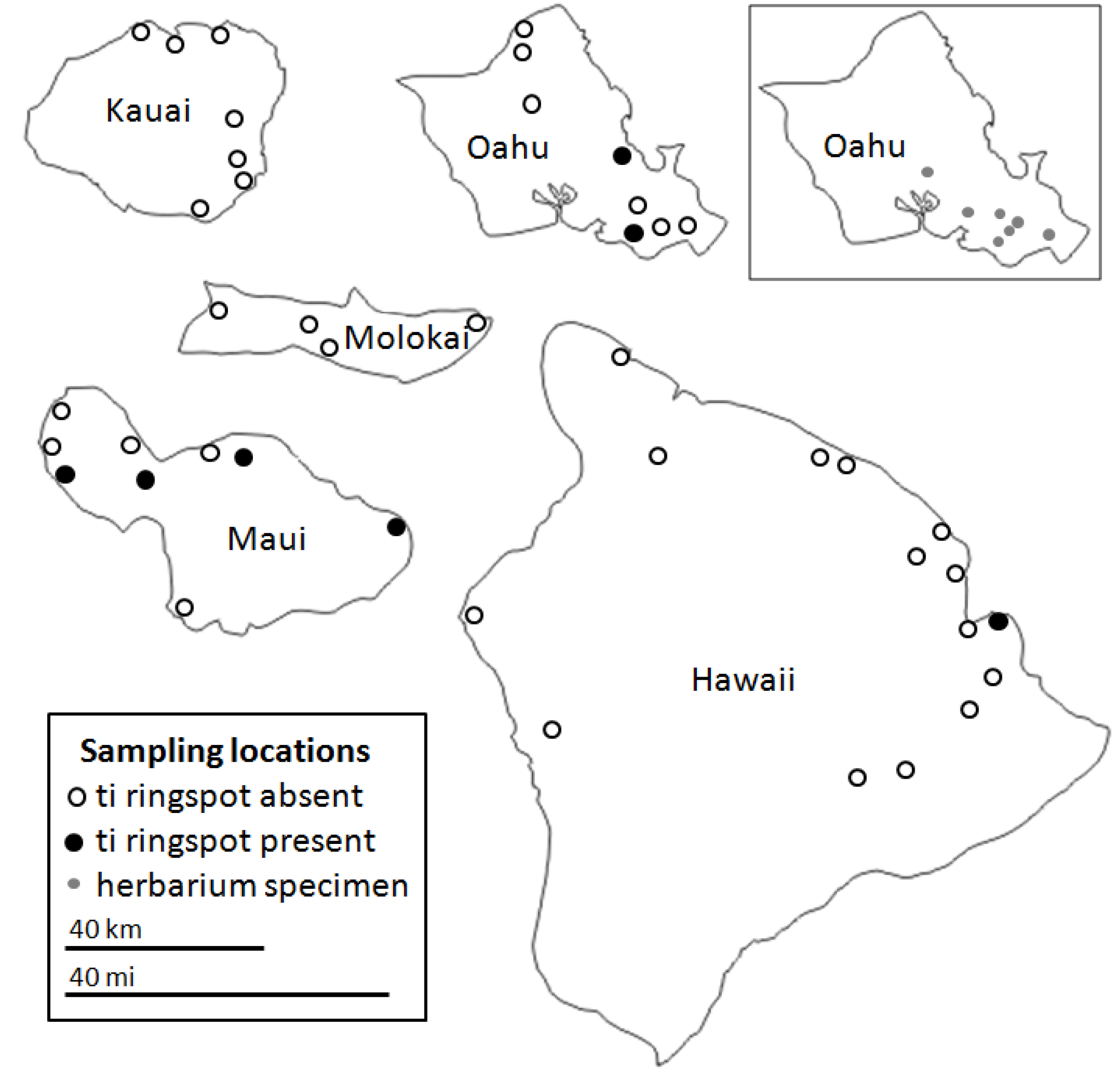 Viruses 05 01655 g002