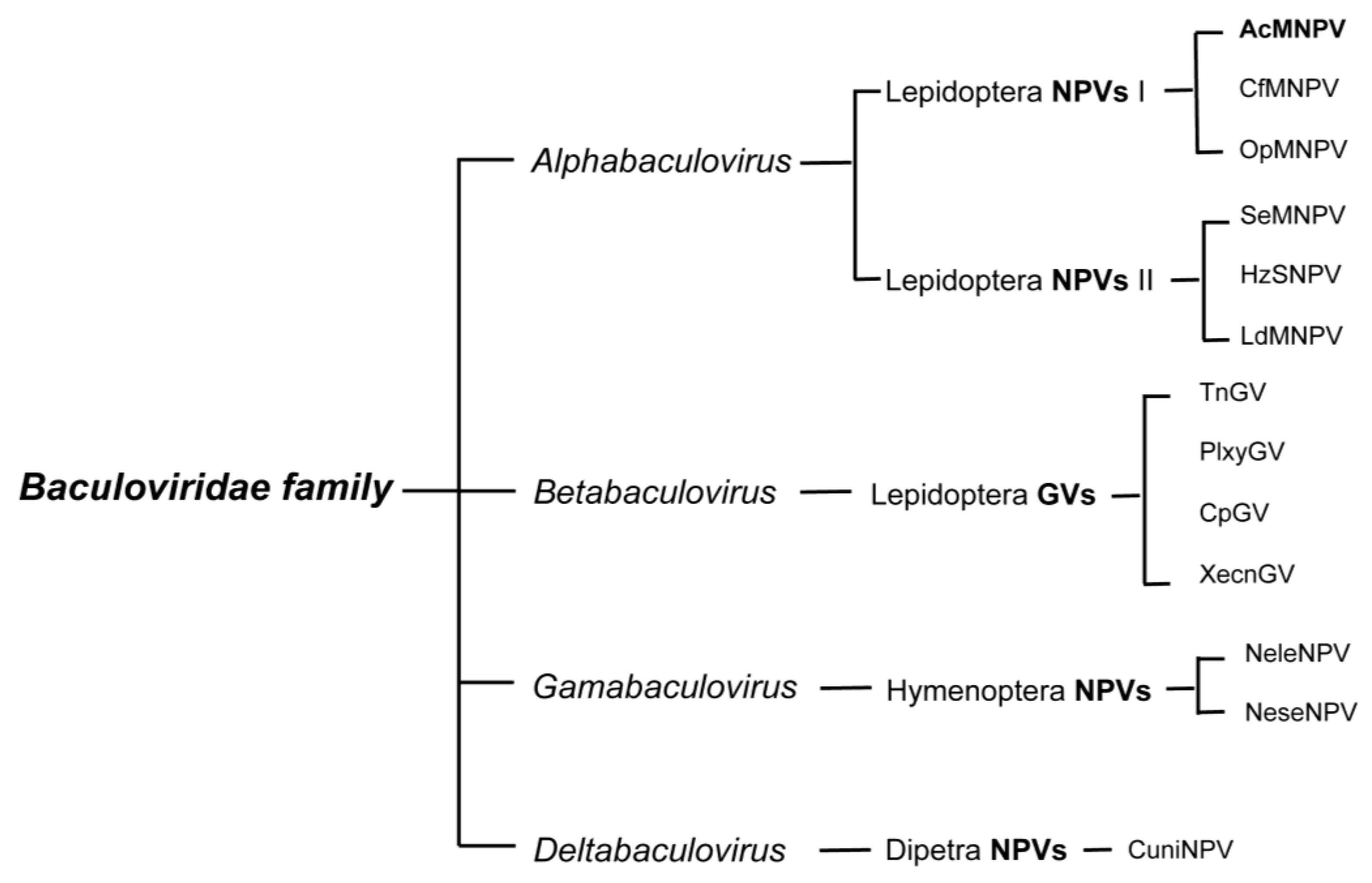 Viruses 05 01885 g001