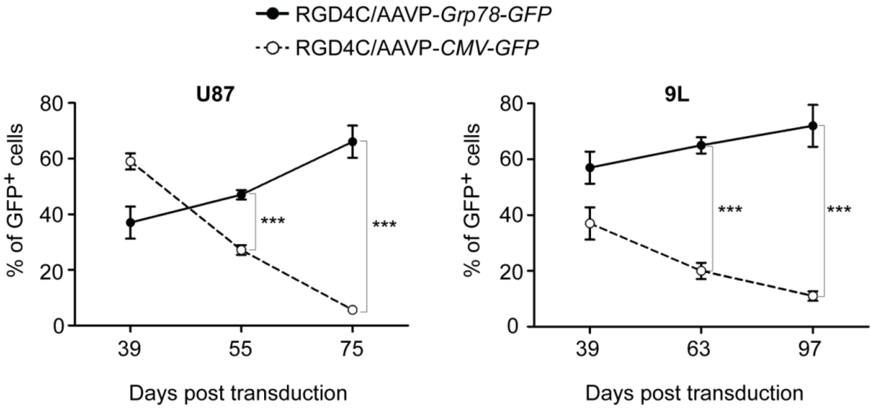 Viruses 05 02561 g001