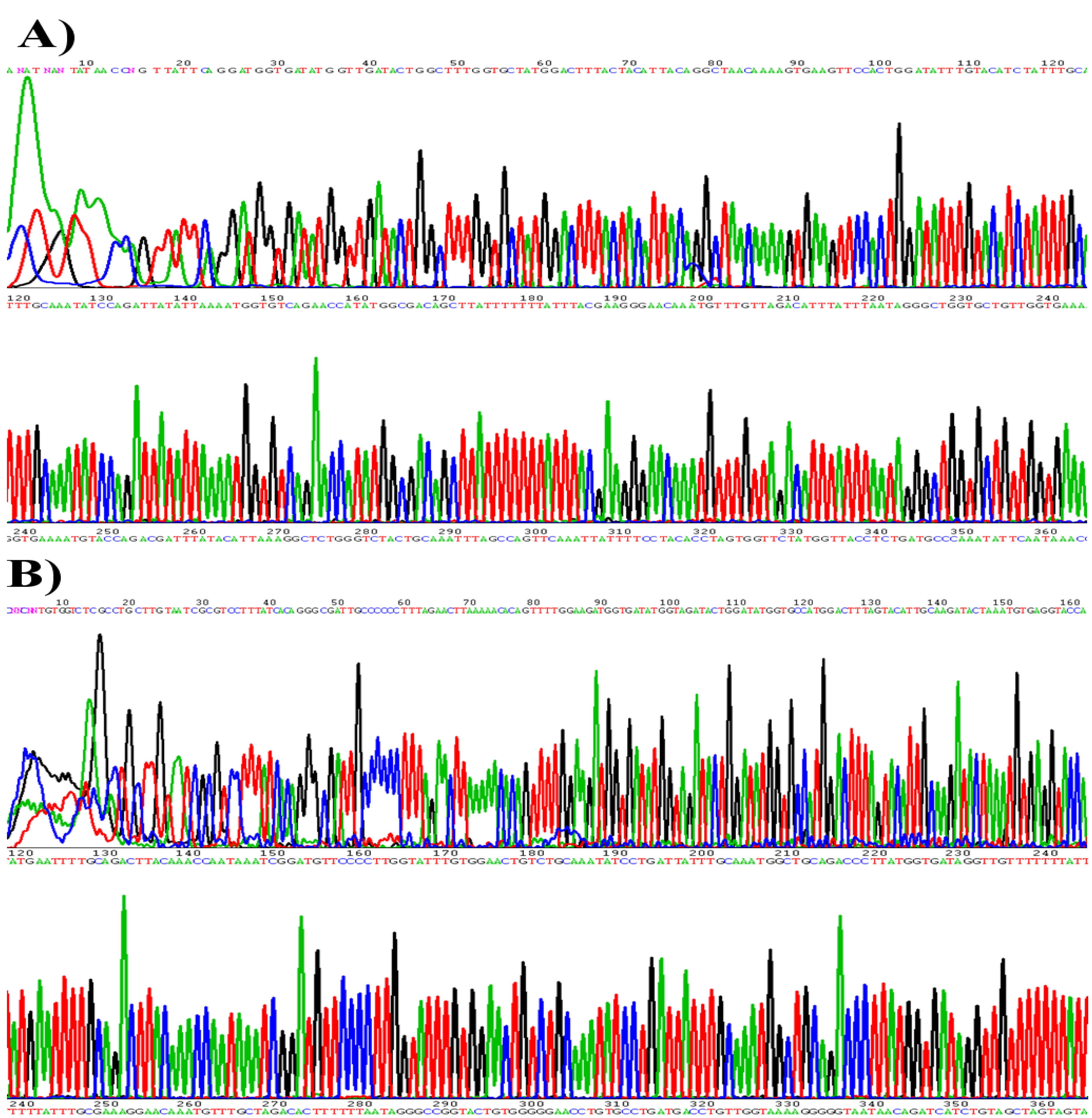 Viruses 05 02840 g001 1024
