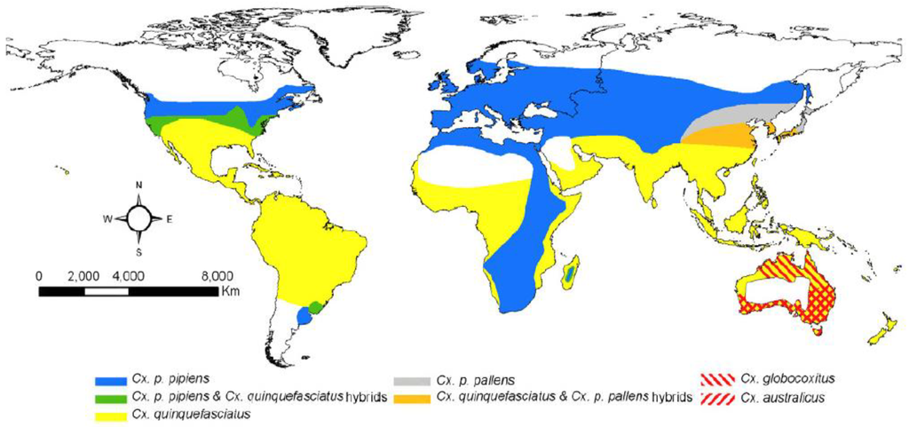 Viruses 05 03021 g001 1024