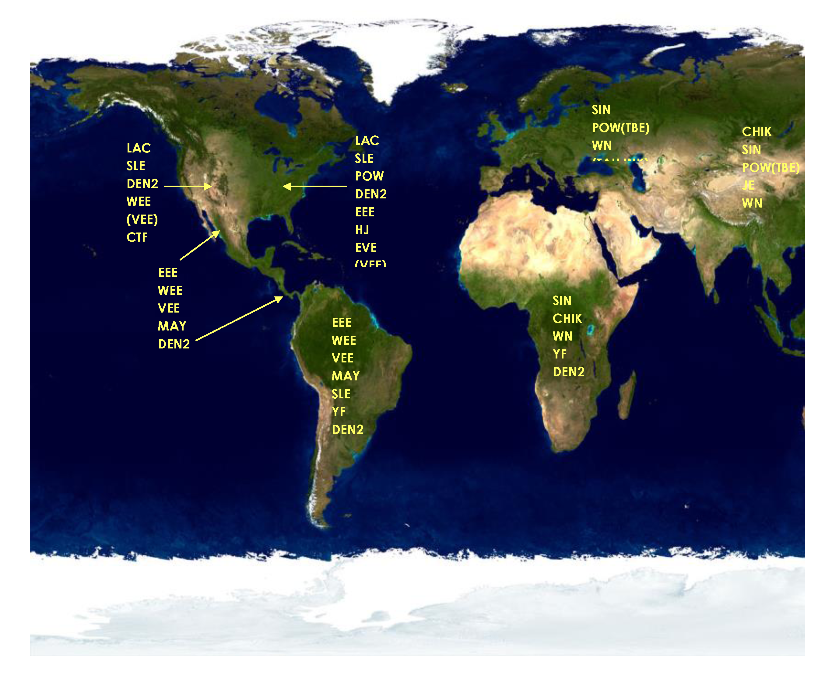 Viruses 05 03088 g002