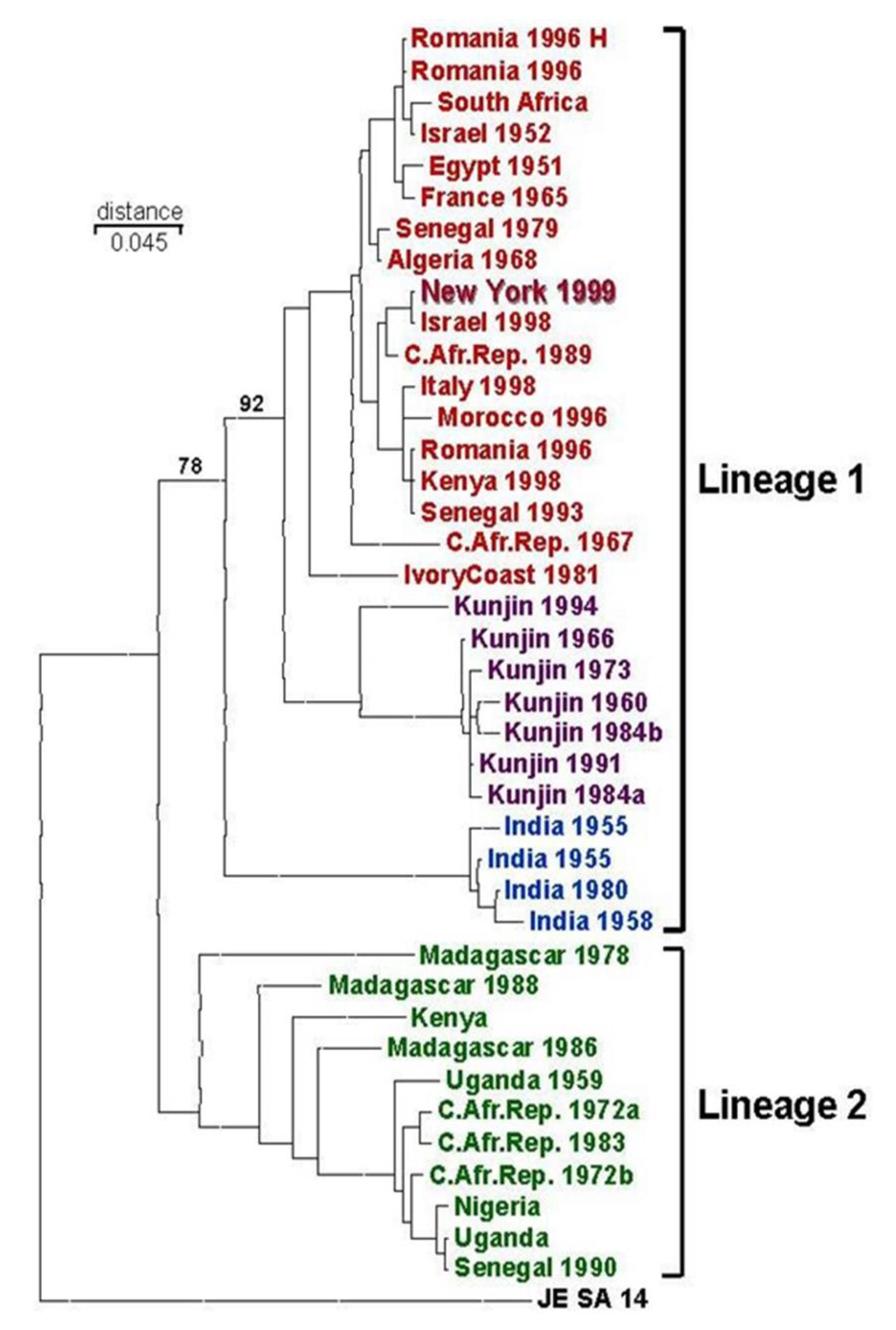 Viruses 05 03088 g003