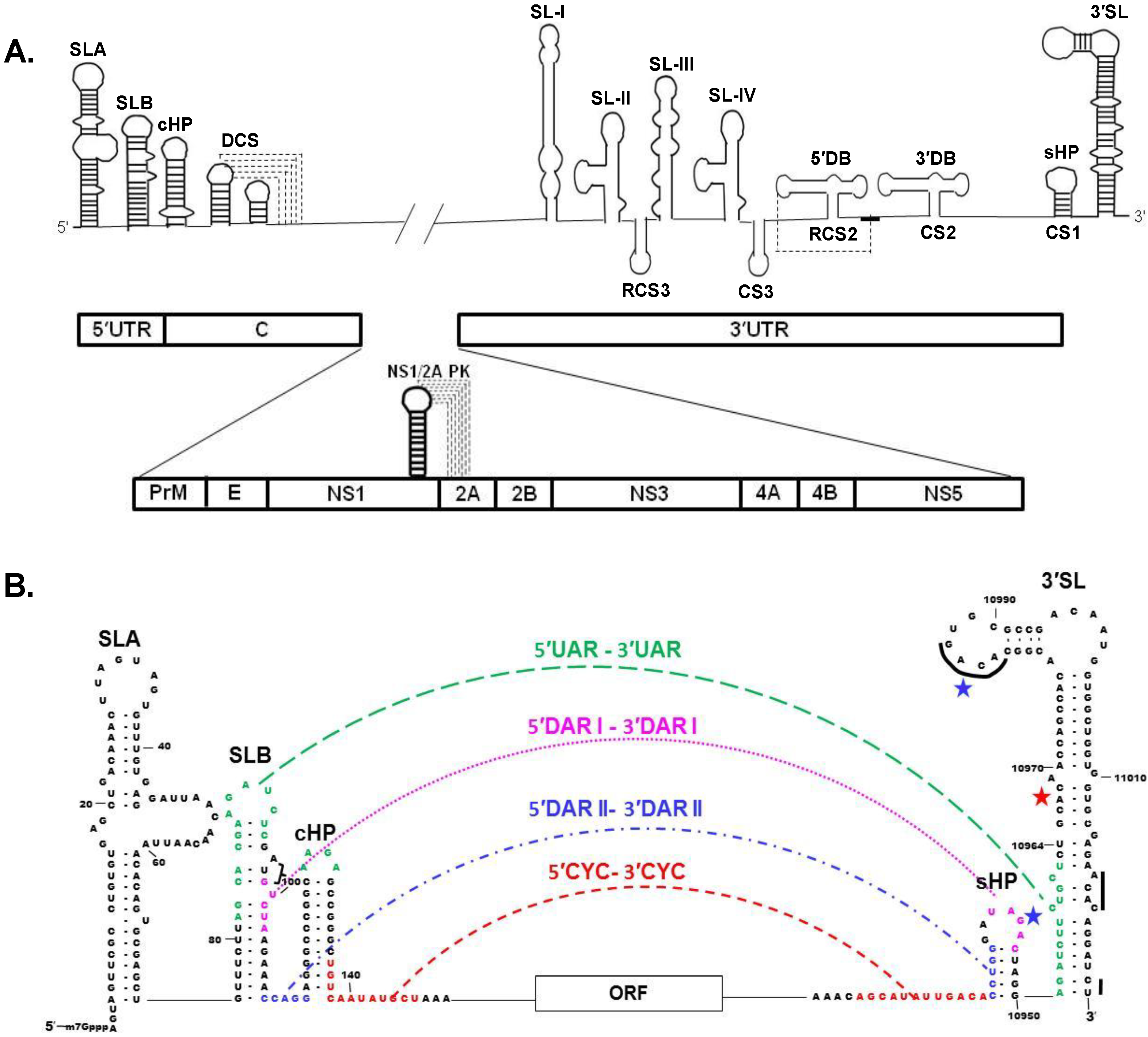 Viruses 06 00013 g001