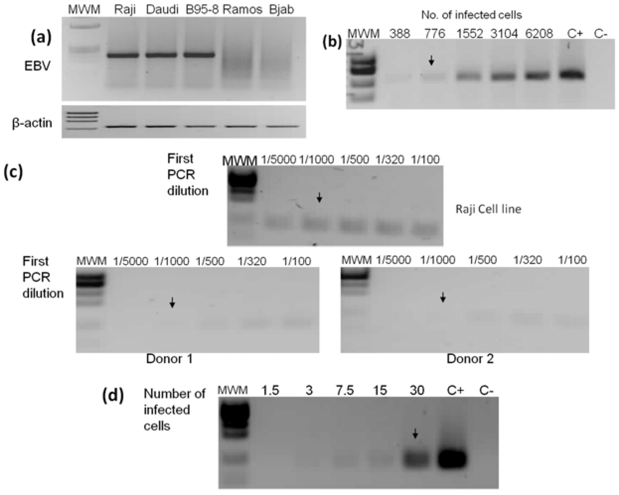 Viruses 06 00301 g001