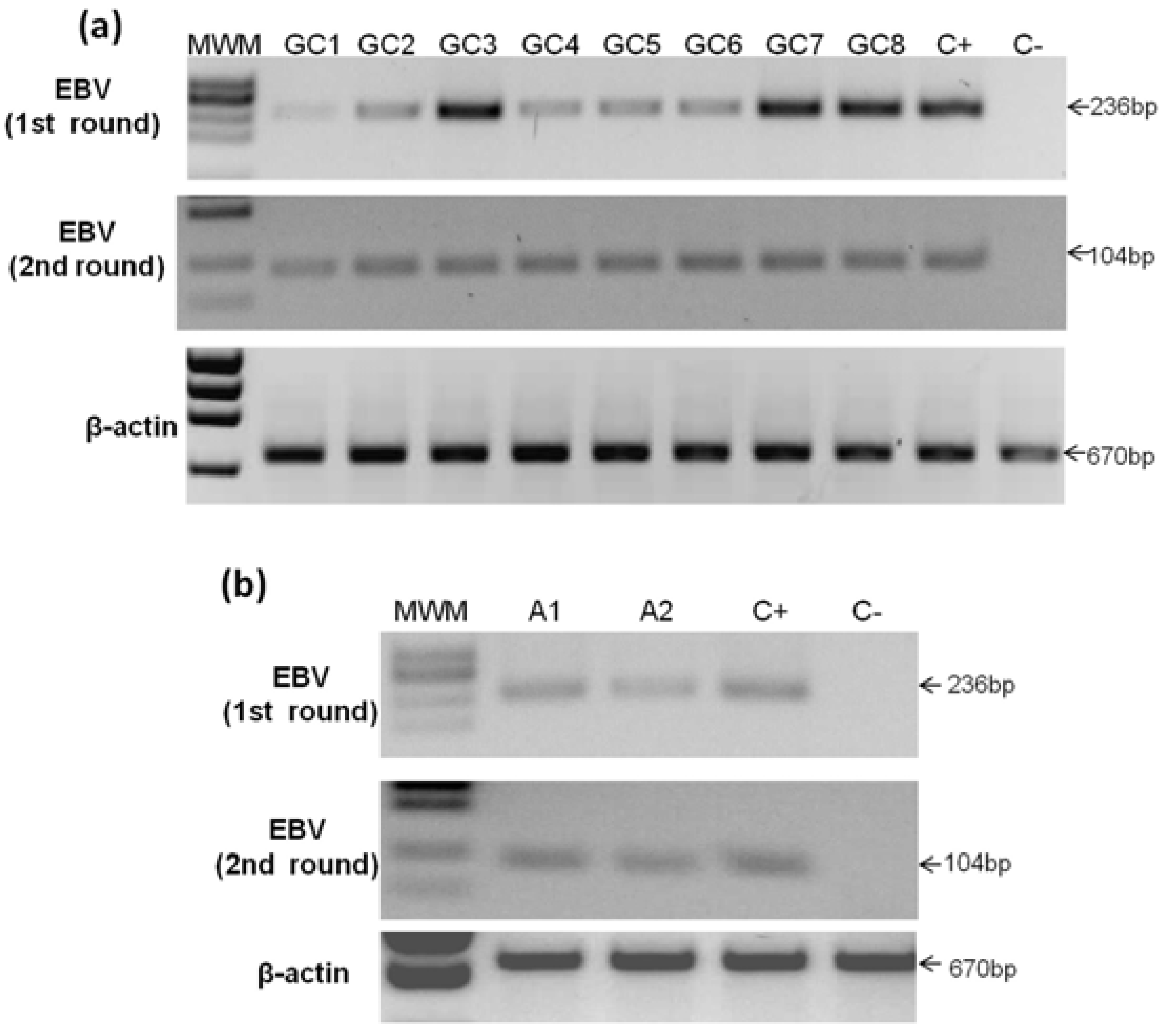 Viruses 06 00301 g002