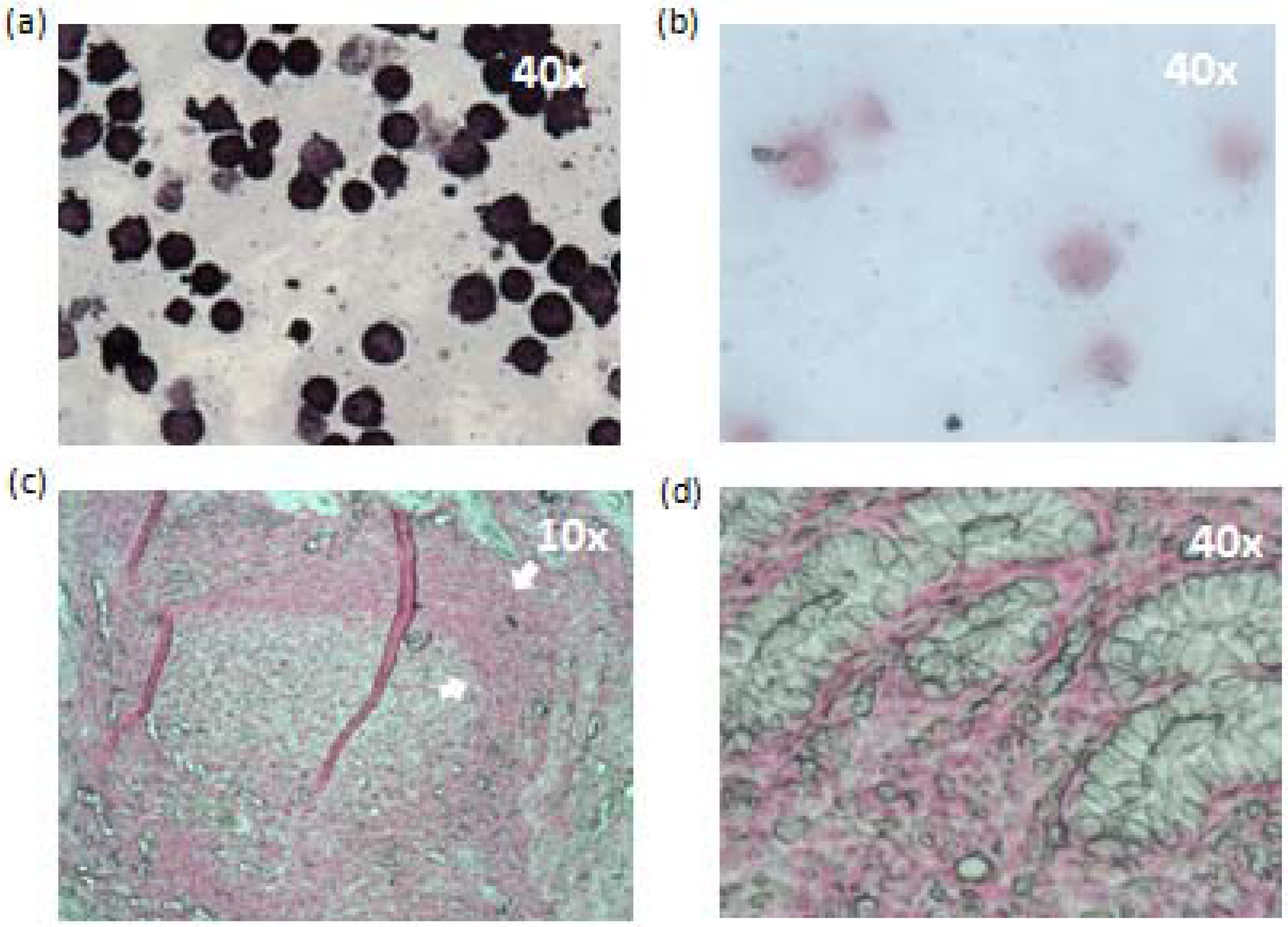 Viruses 06 00301 g007