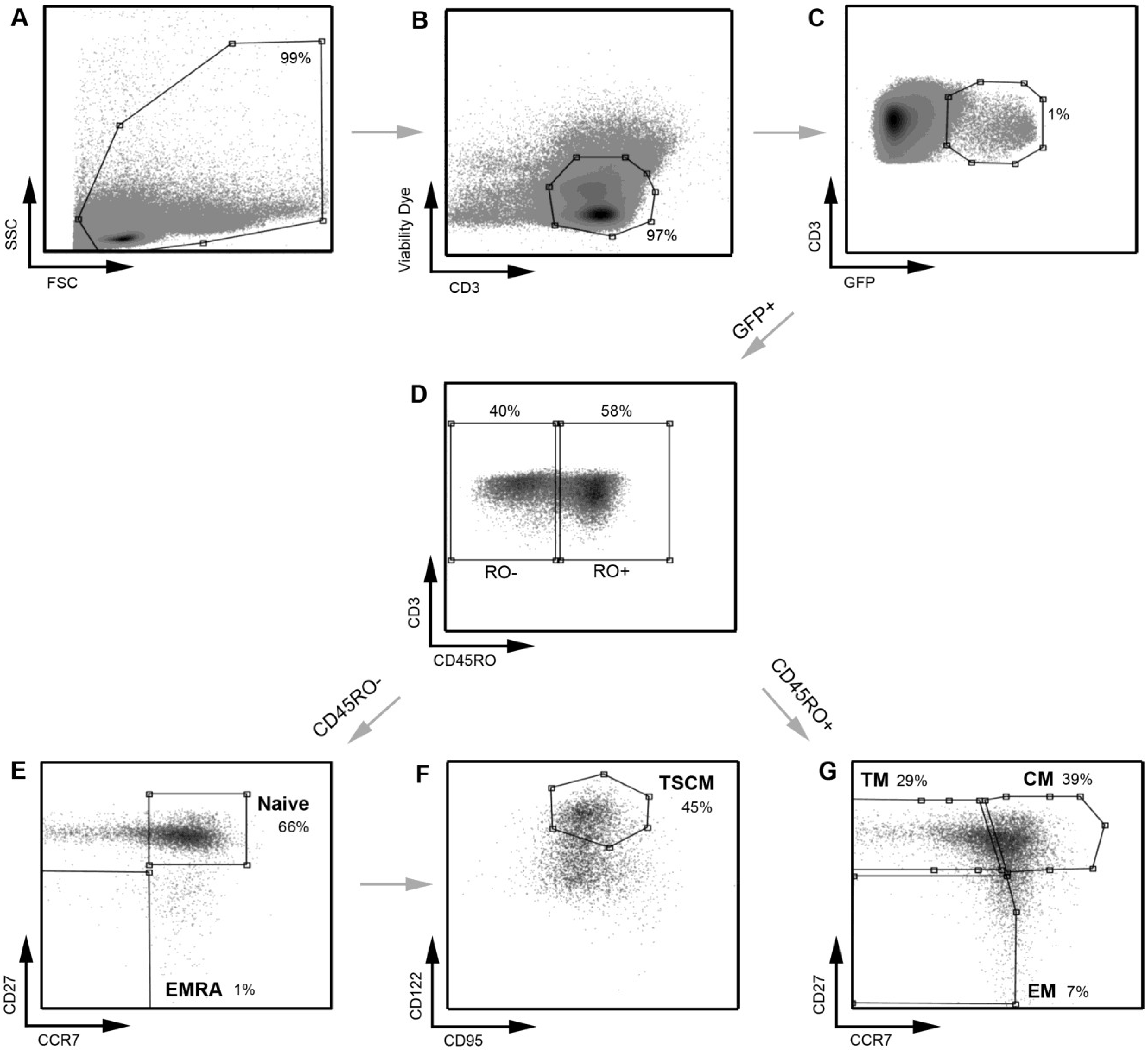 Viruses 06 00709 g004