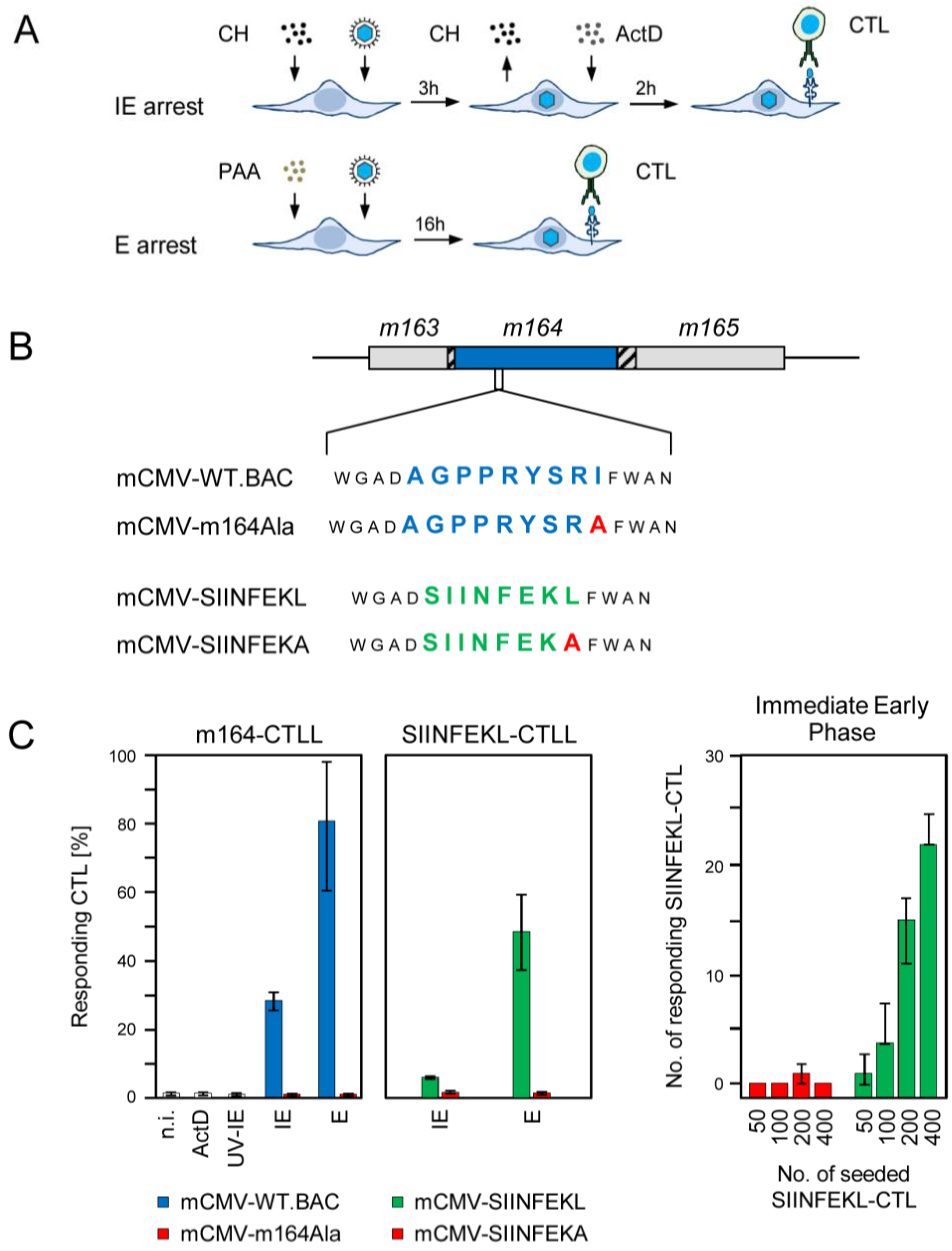 Viruses 06 00808 g001