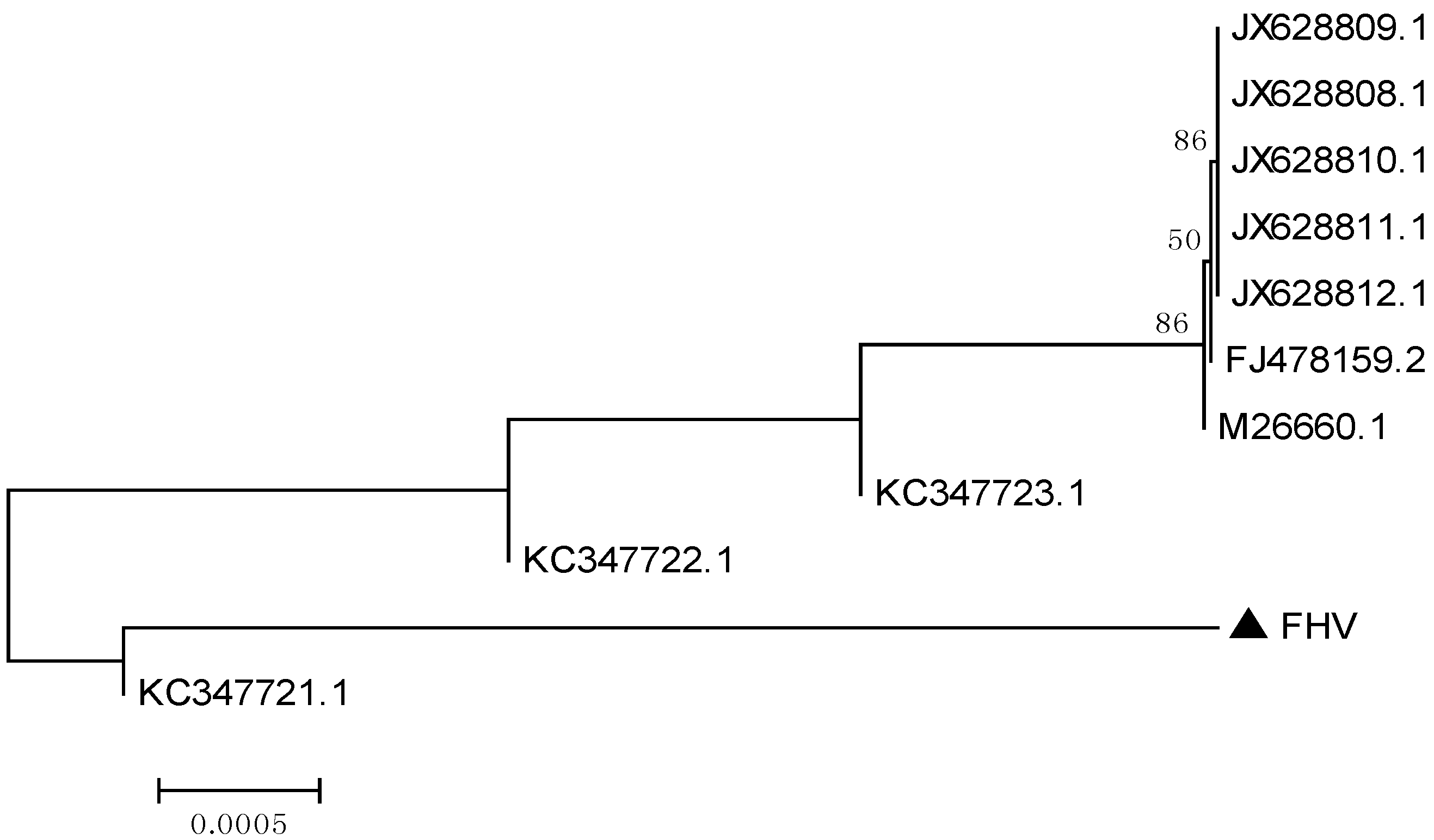 Viruses 06 01004 g002