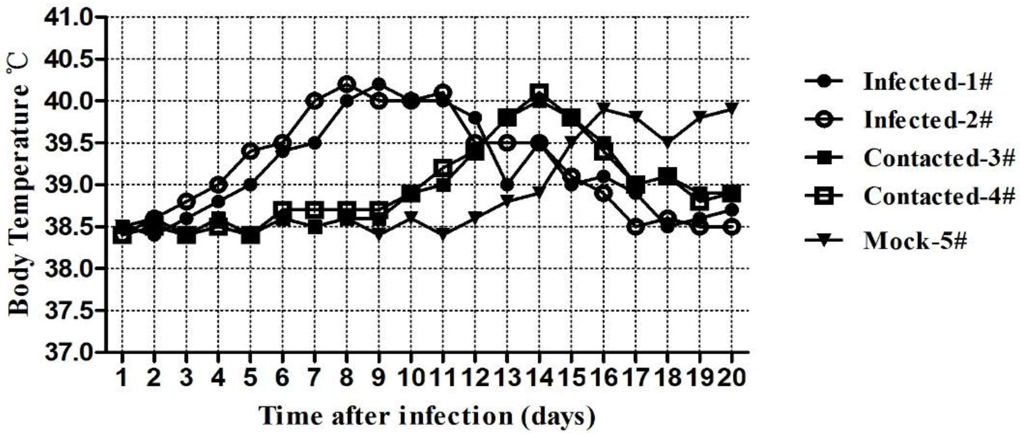 Viruses 06 01004 g006