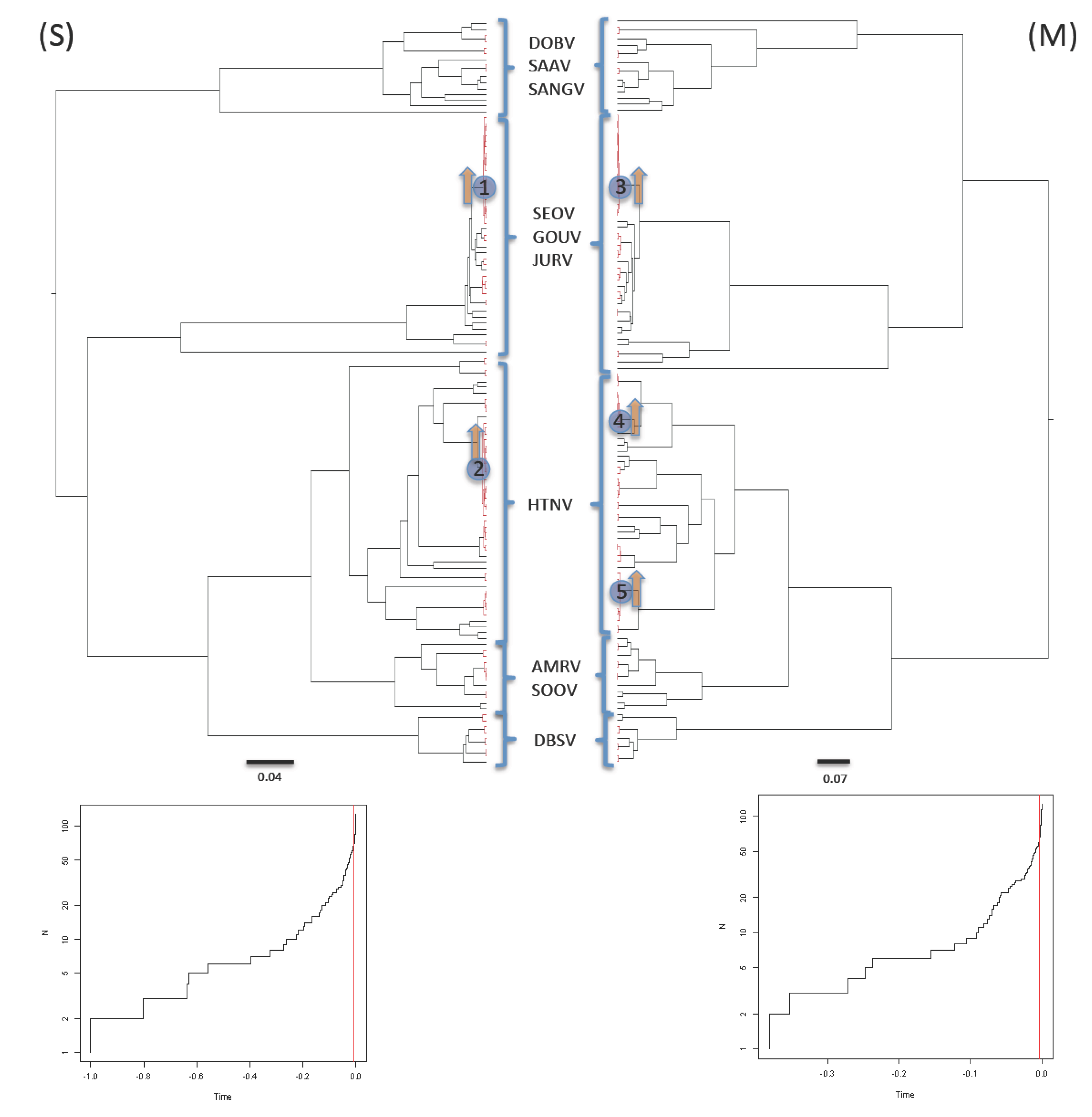 Changes in Diversification Patterns and Signatures of