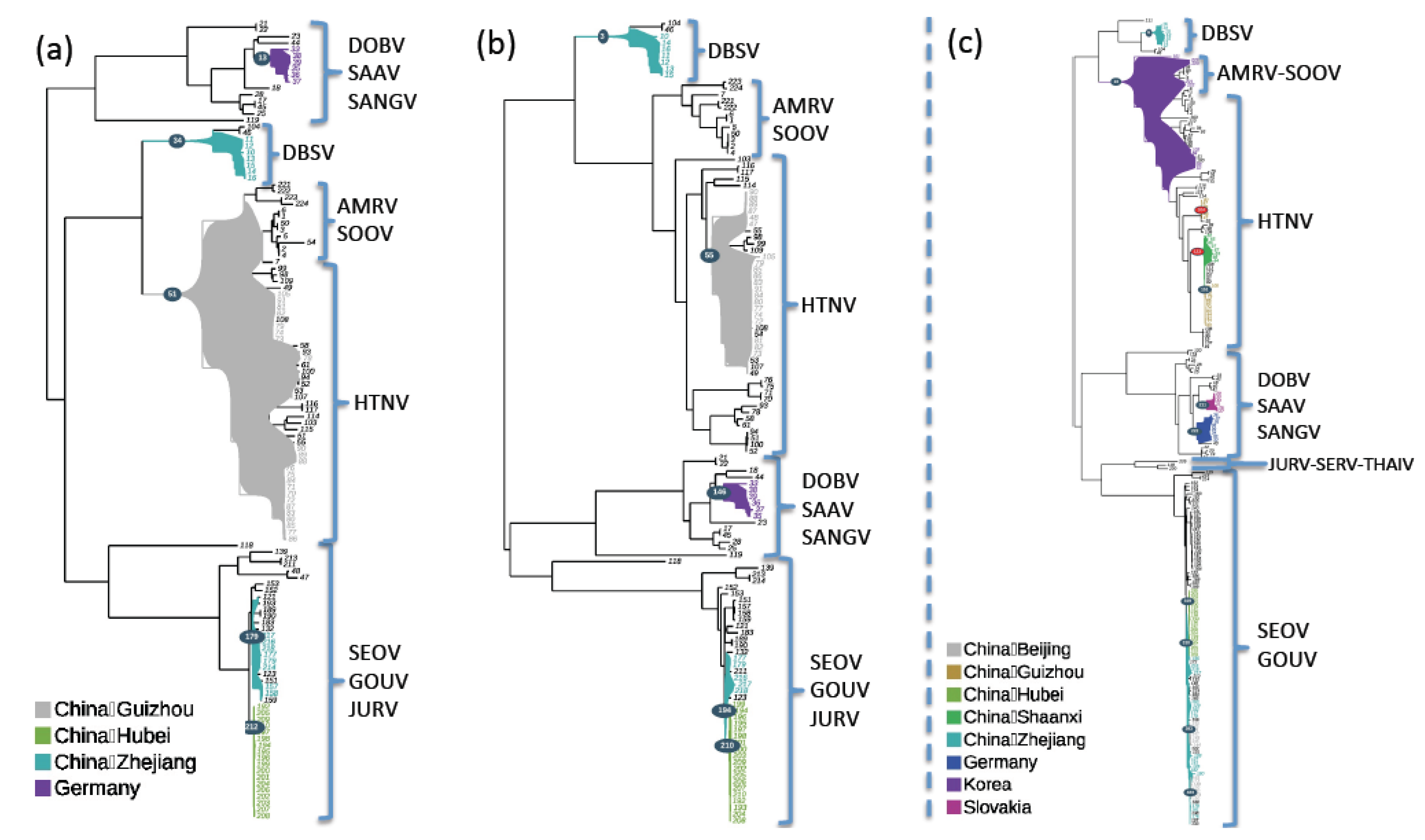 Changes in Diversification Patterns and Signatures of