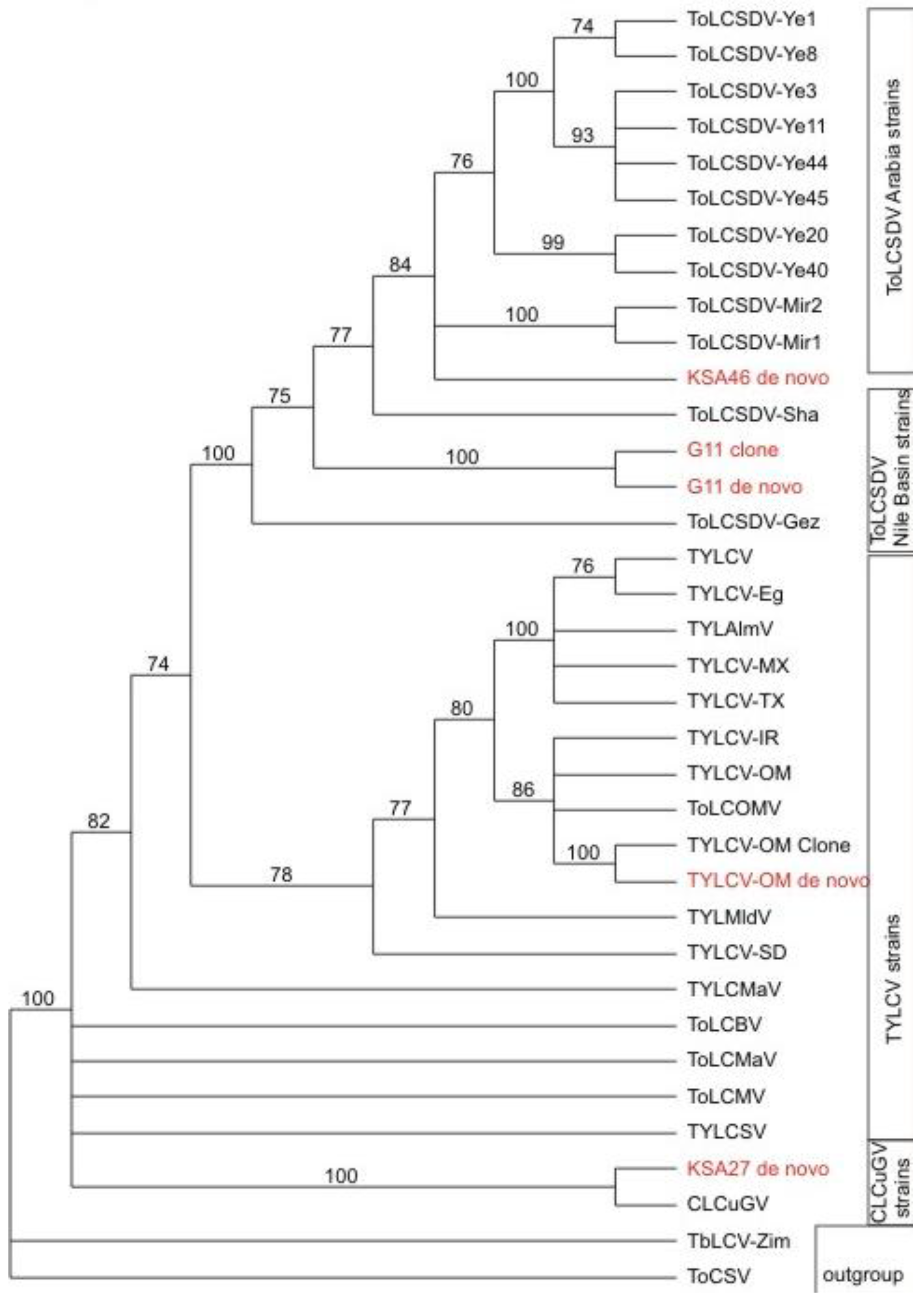 Viruses 06 01219 g006 1024