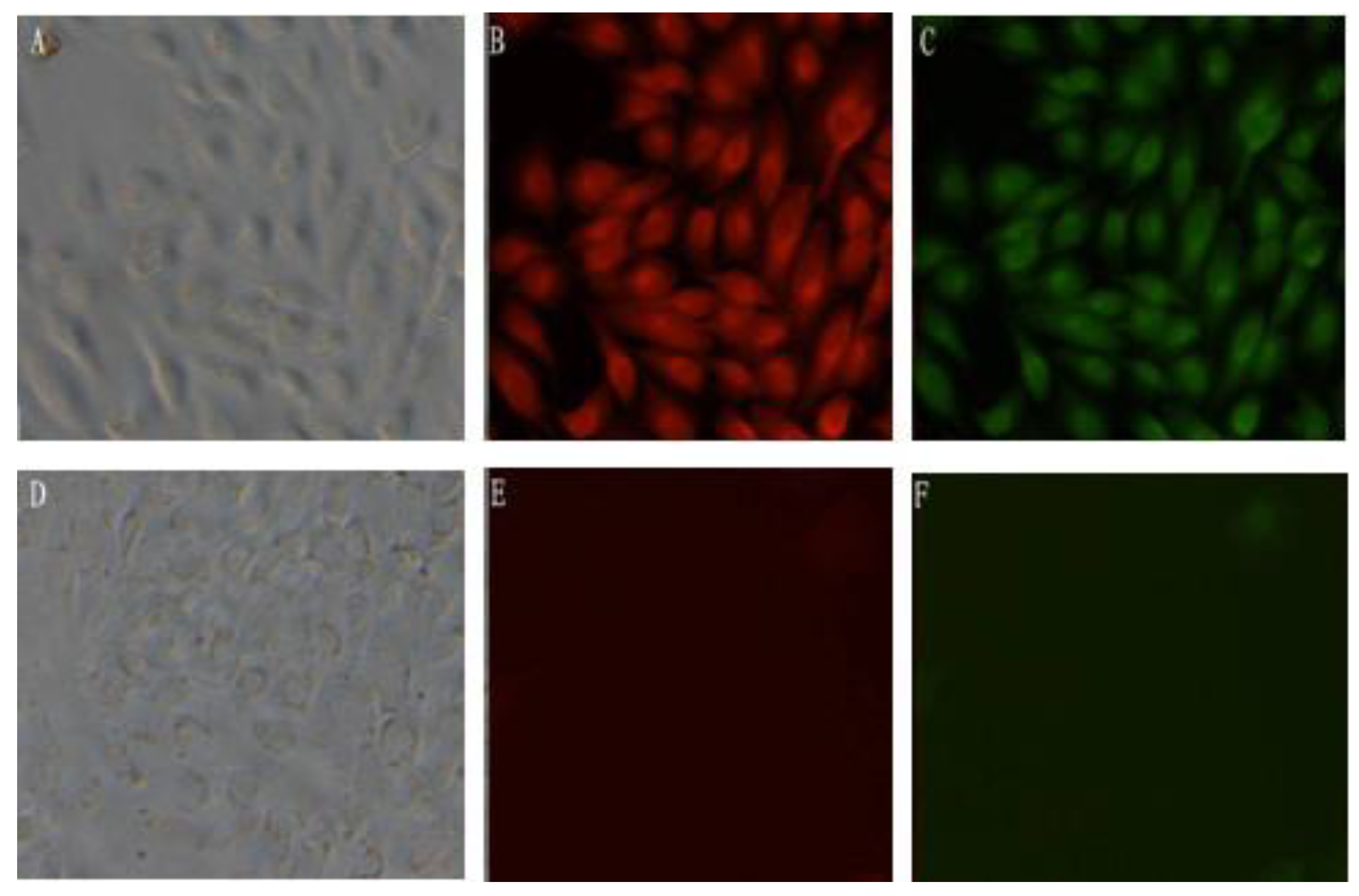 Viruses 06 01237 g002 1024