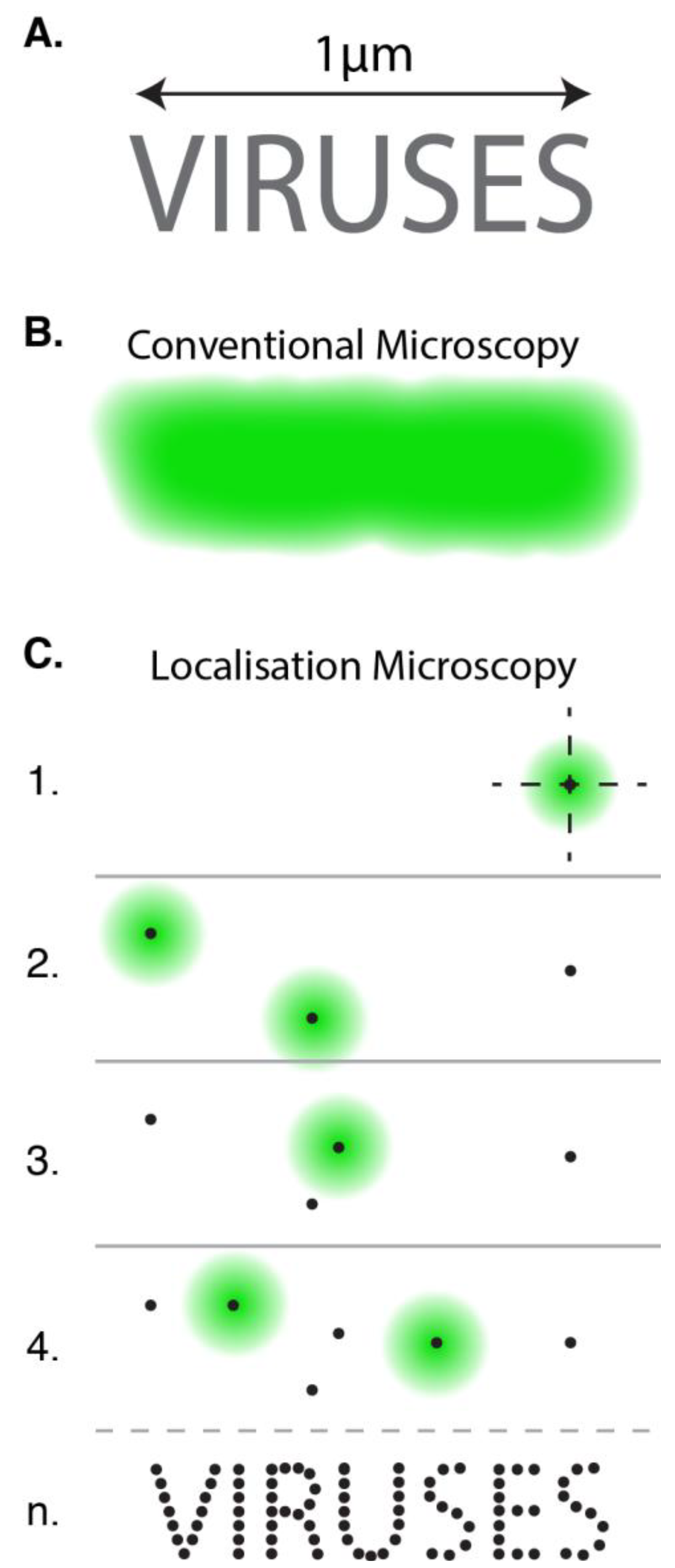 Viruses 06 01365 g002