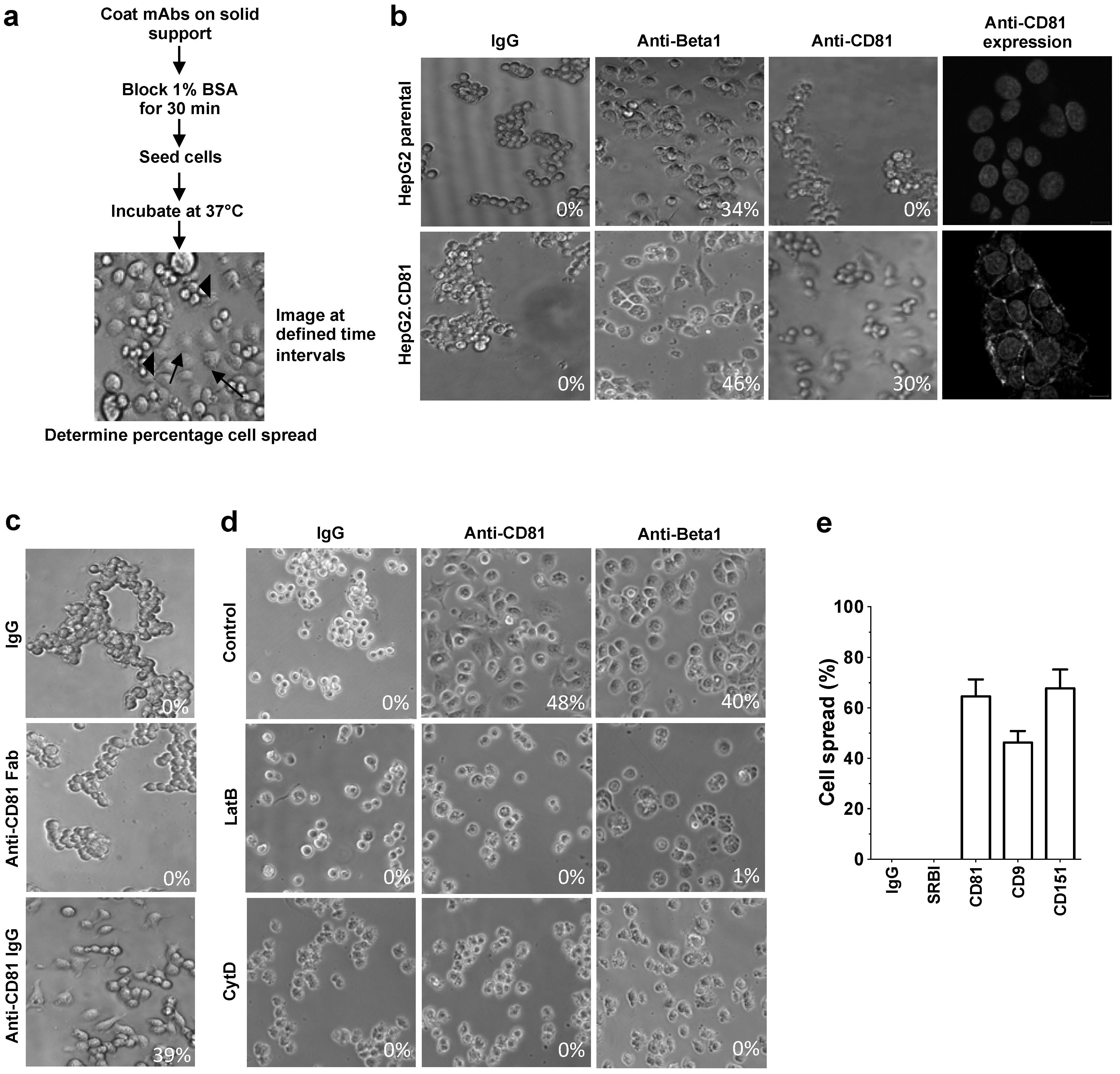 Viruses 06 01454 g002