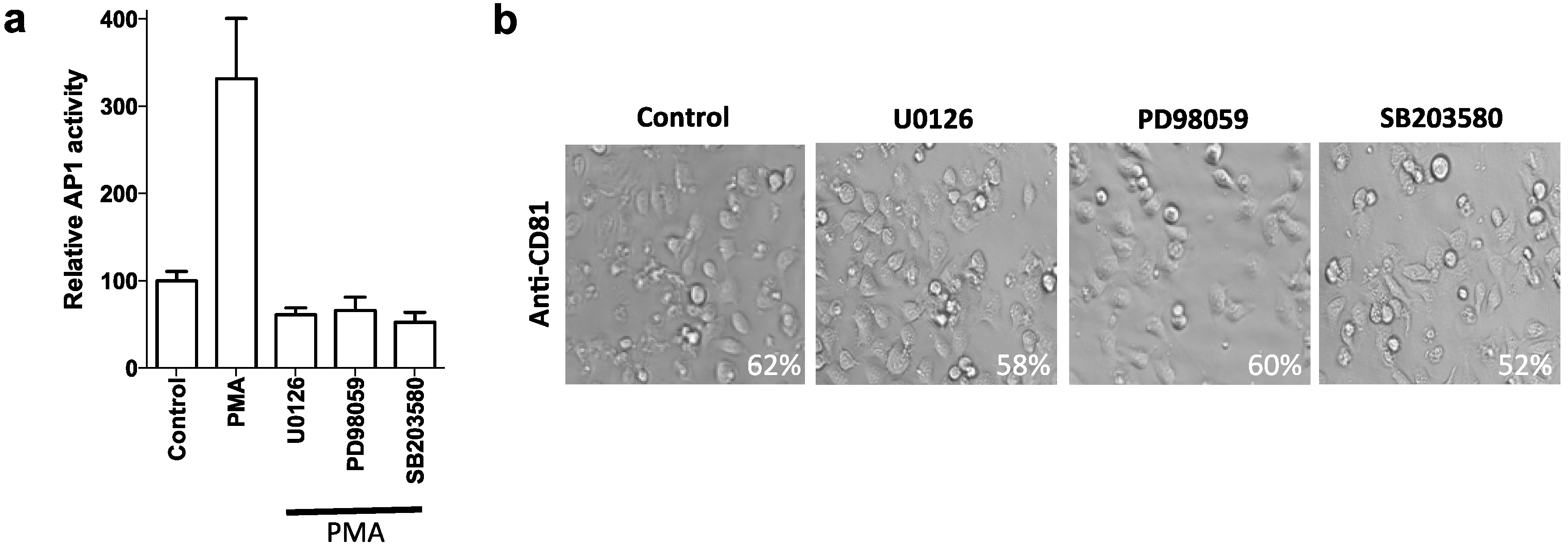 Viruses 06 01454 g003