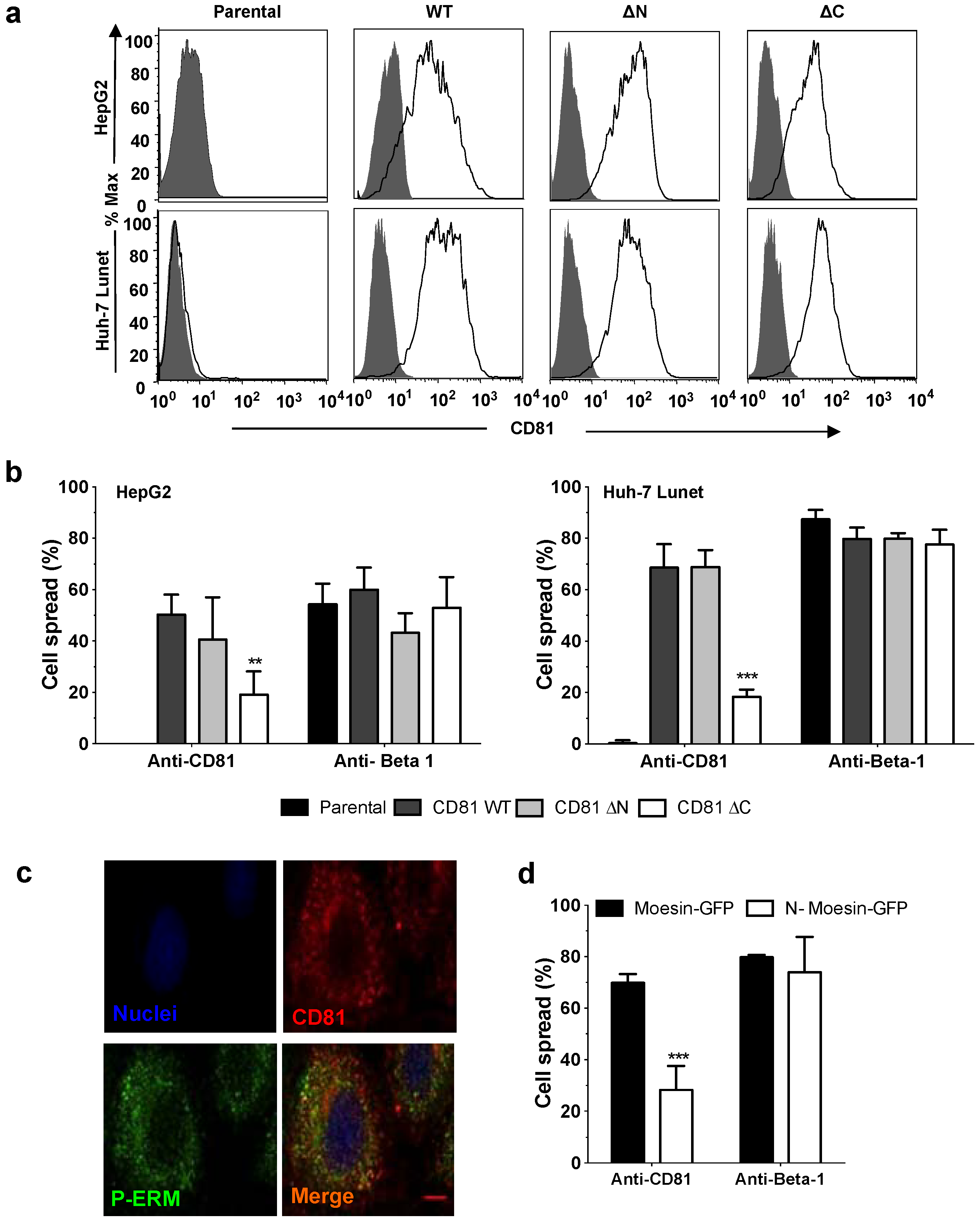 Viruses 06 01454 g004