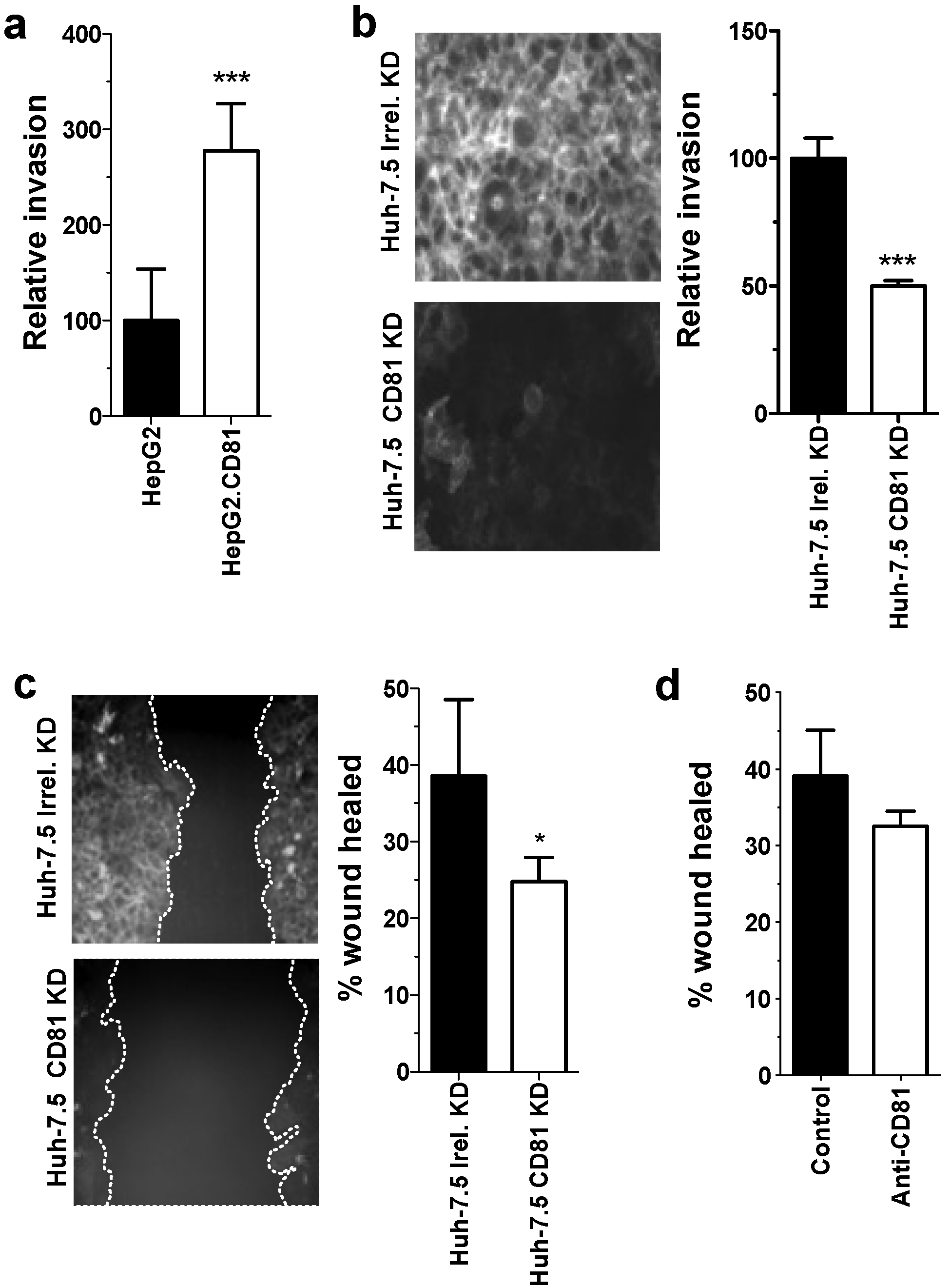 Viruses 06 01454 g006