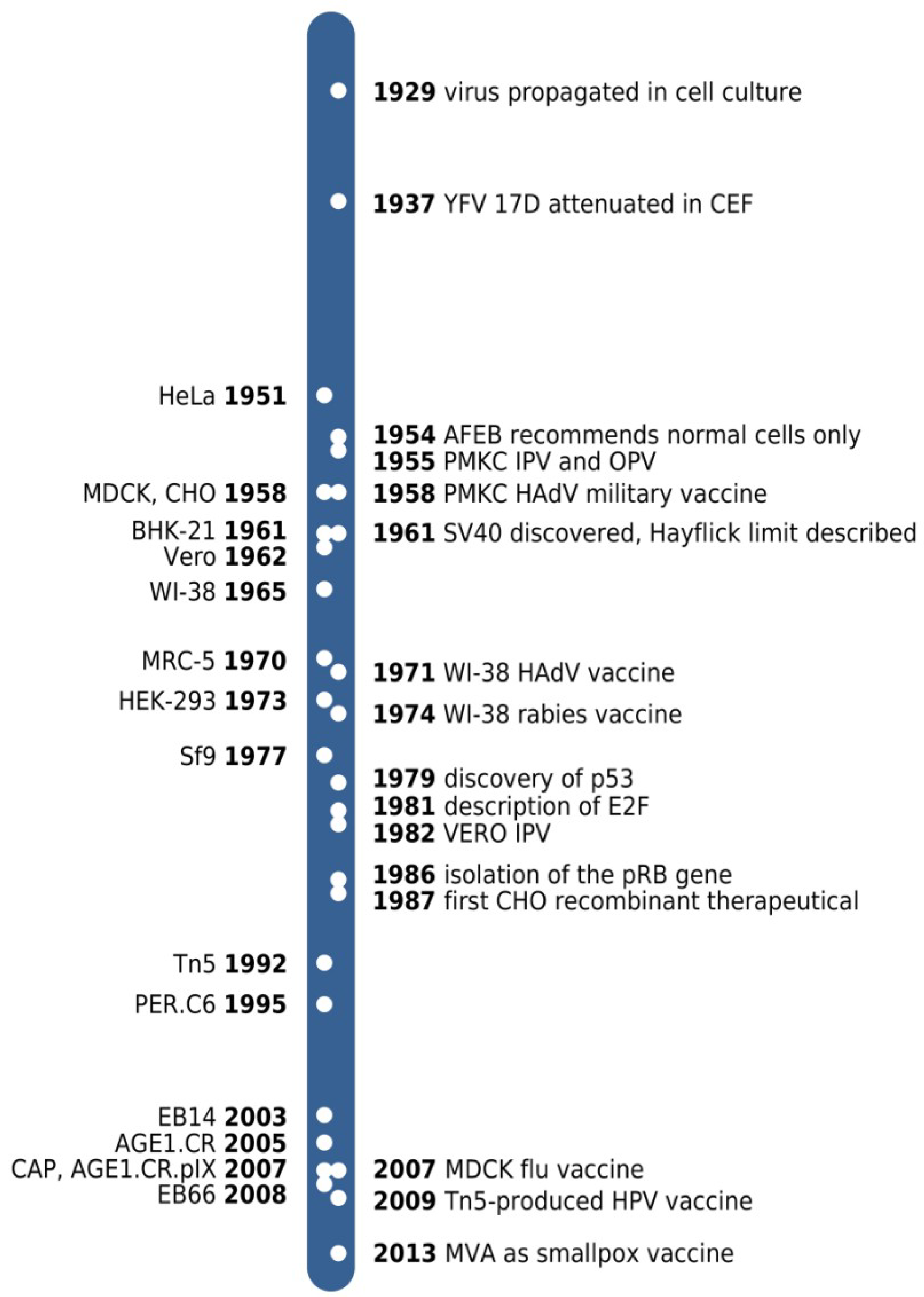Ipv/Terms Of Use/ - 9jmhzff