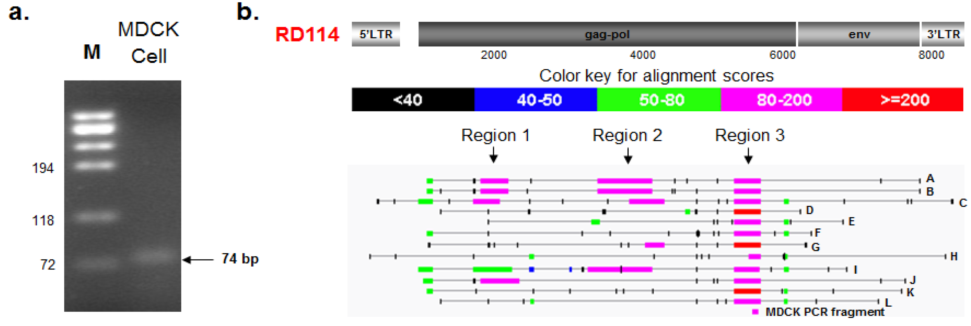 Viruses 06 01876 g002