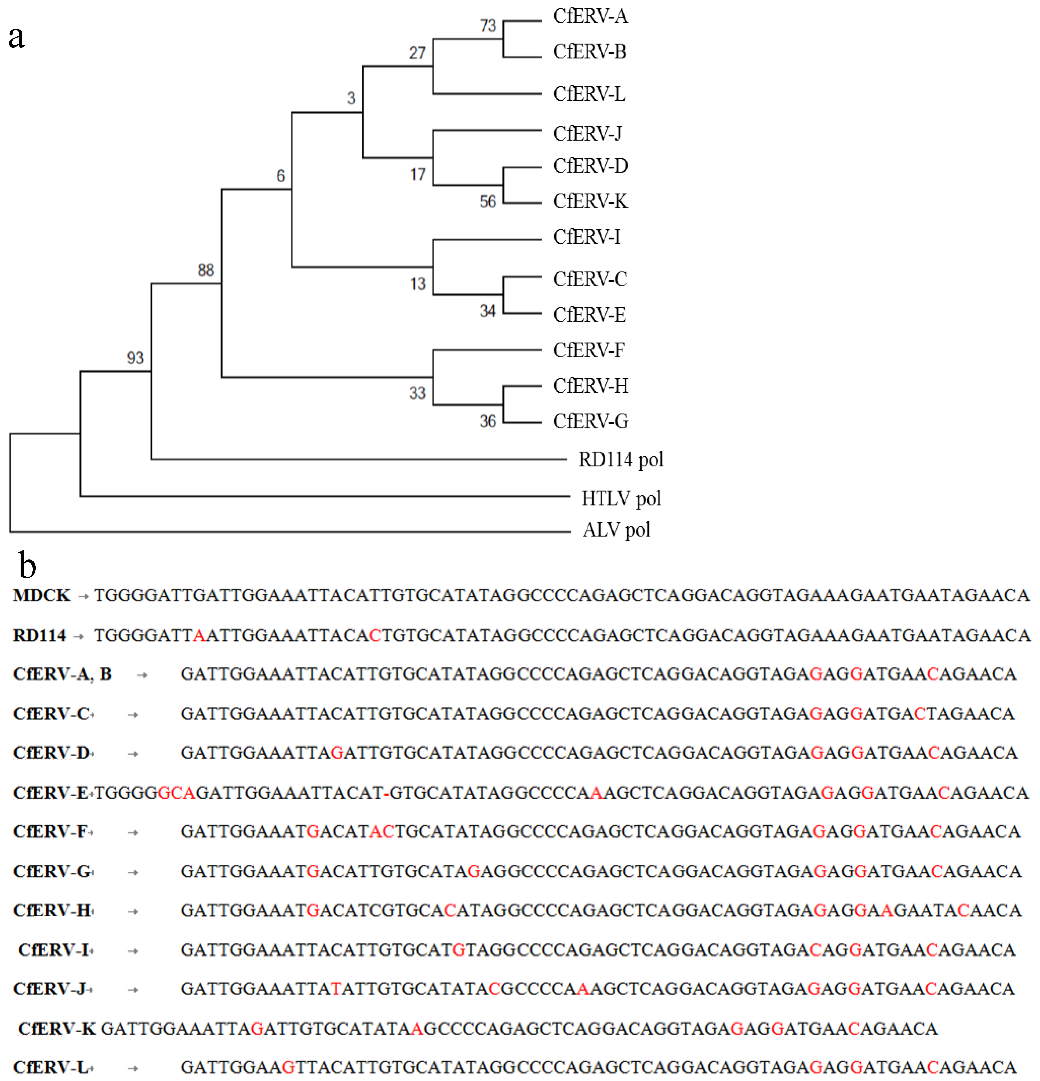 Viruses 06 01876 g003