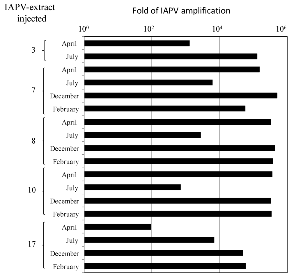 Viruses 06 02012 g003 1024