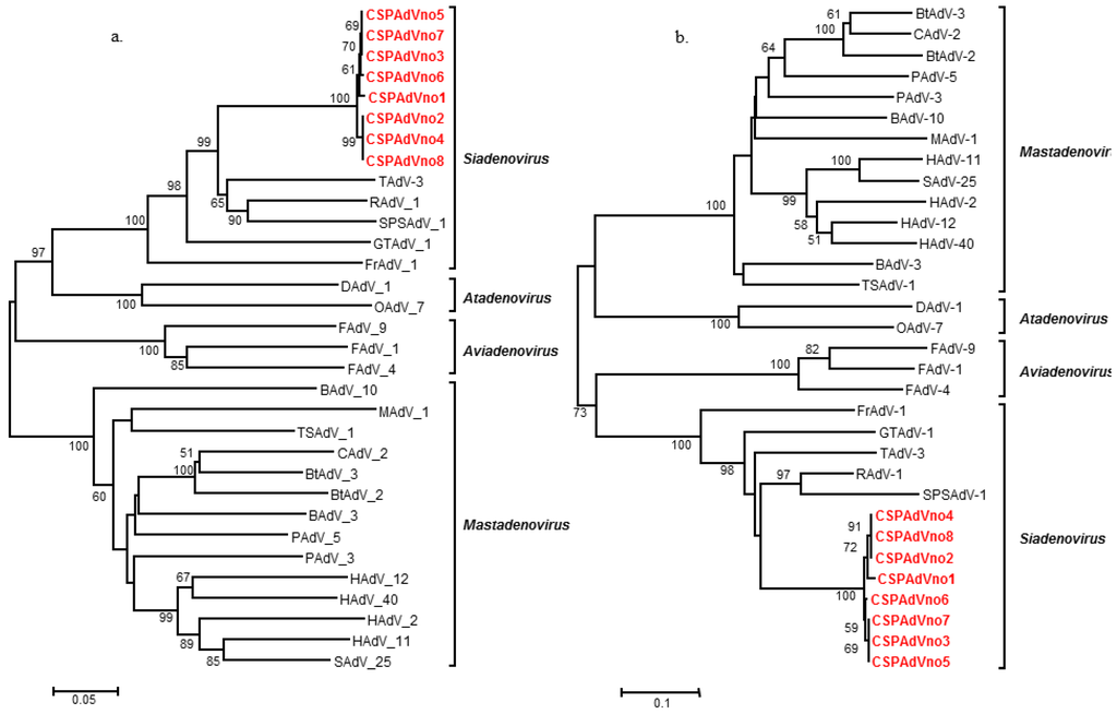 Viruses 06 02052 g002 1024