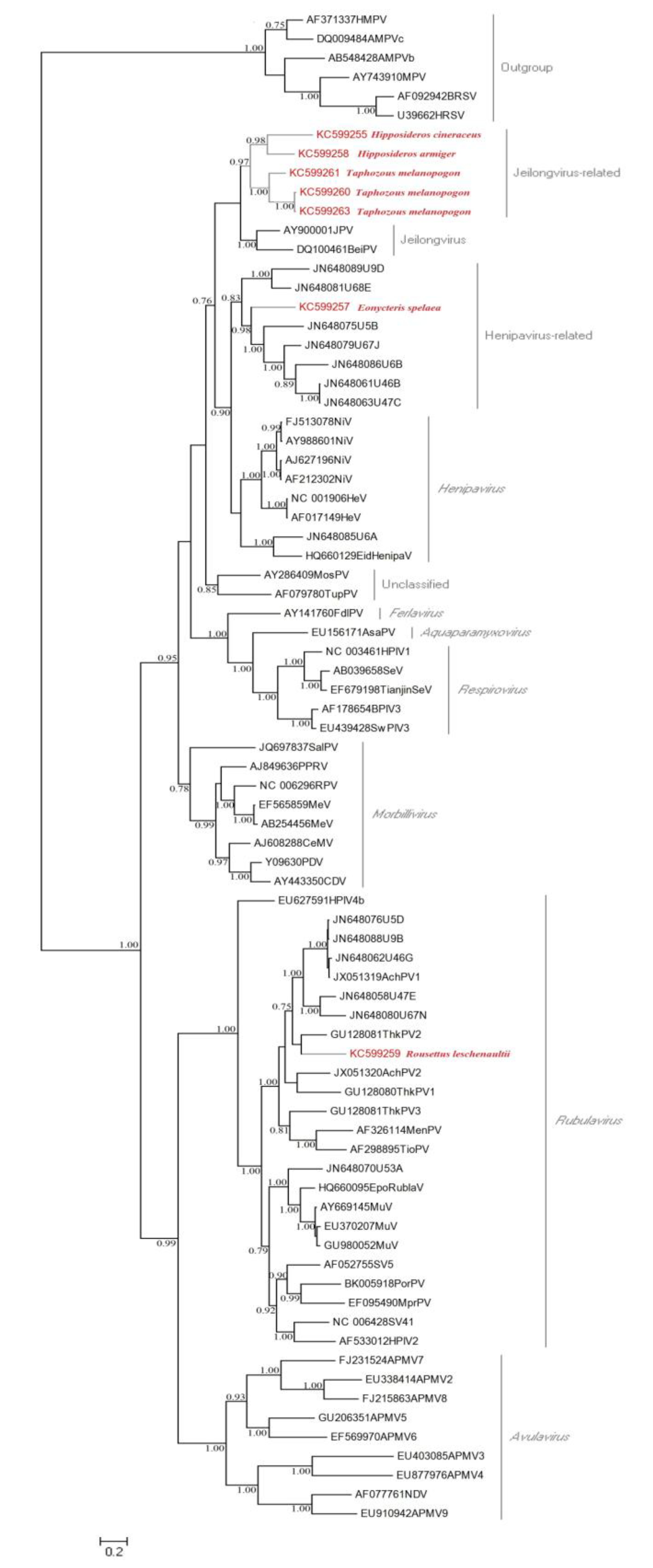 Viruses 06 02138 g001