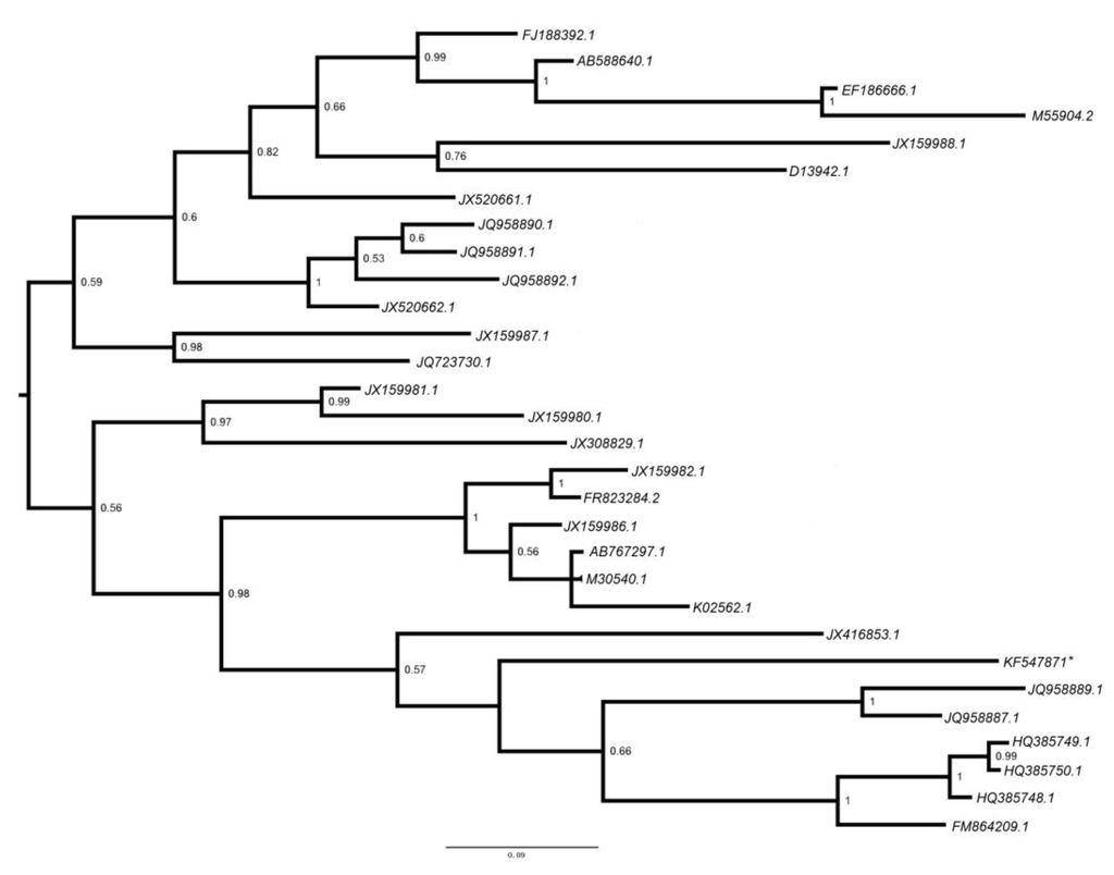 Viruses 06 02138 g004 1024