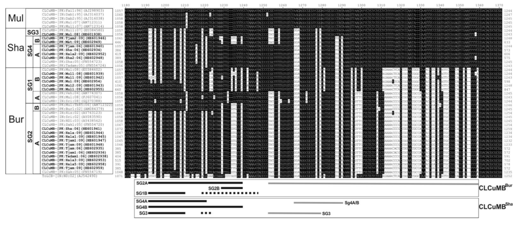 Viruses 06 02186 g002 1024