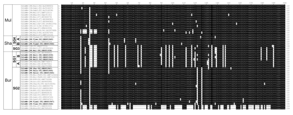 Viruses 06 02186 g003 1024