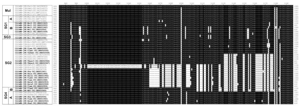 Viruses 06 02186 g004 1024