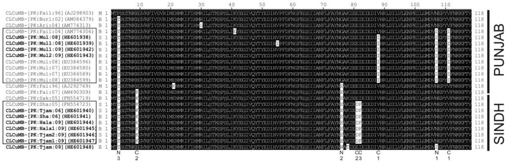 Viruses 06 02186 g005 1024