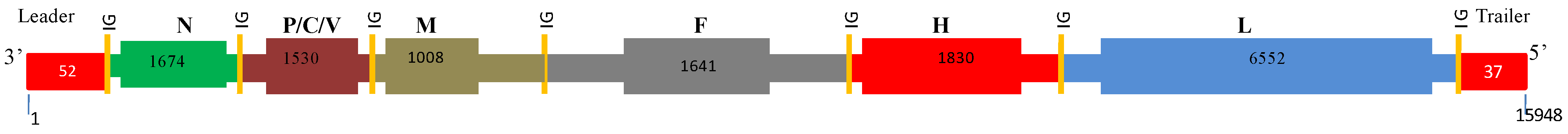 Viruses 06 02287 g001