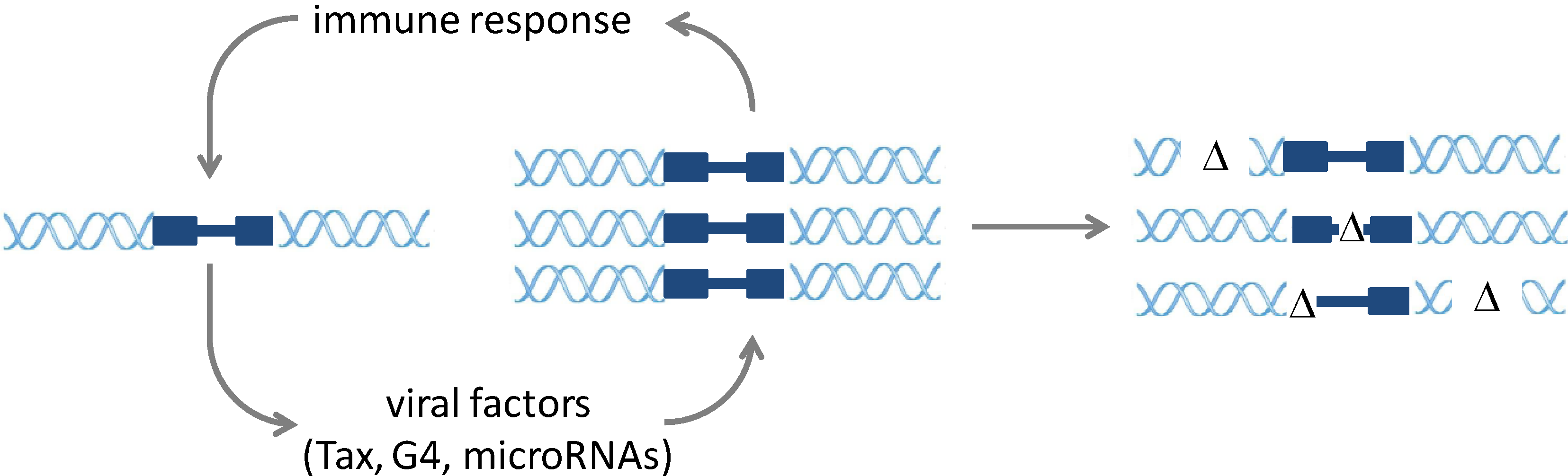 Viruses 06 02416 g002 1024