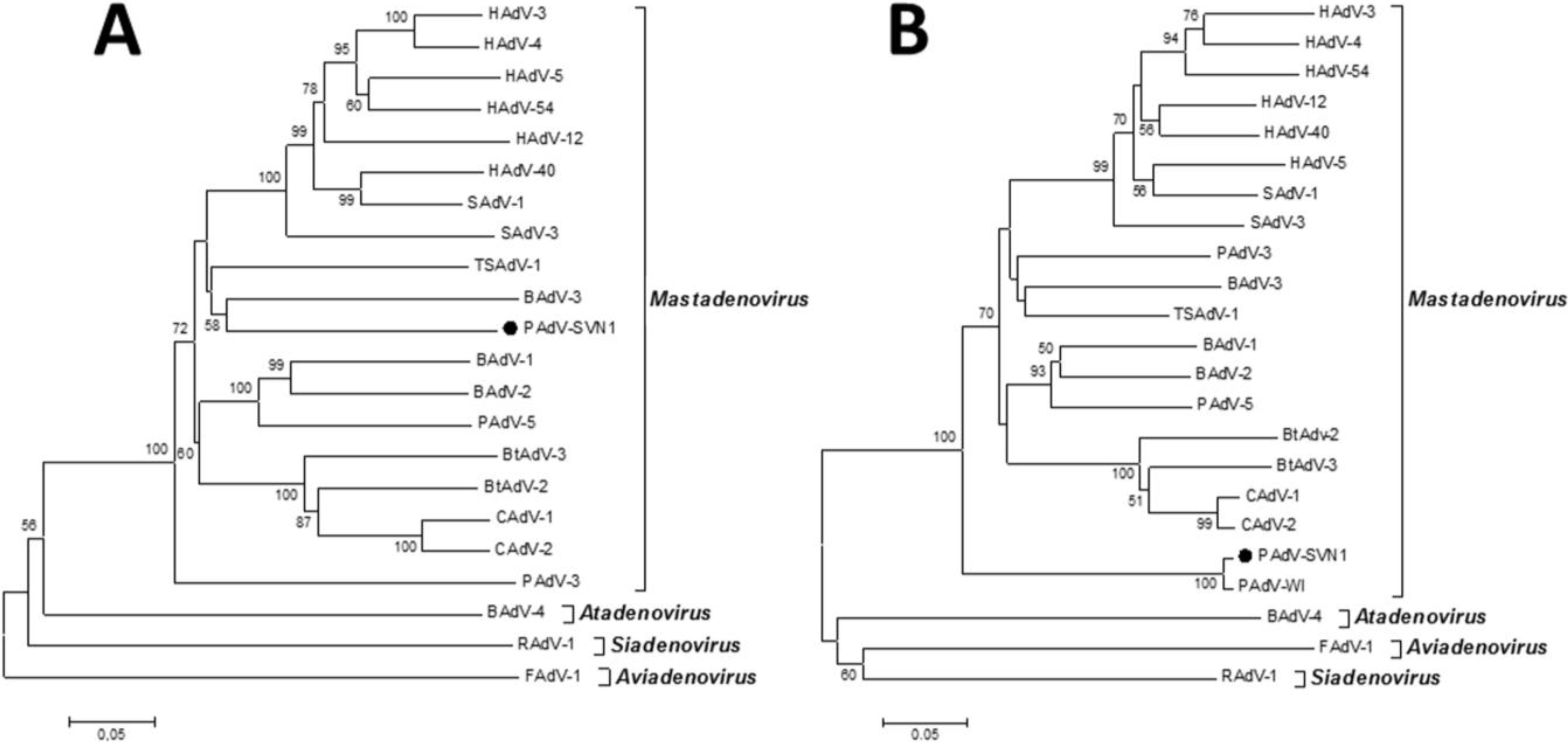 Viruses 06 02505 g004 1024