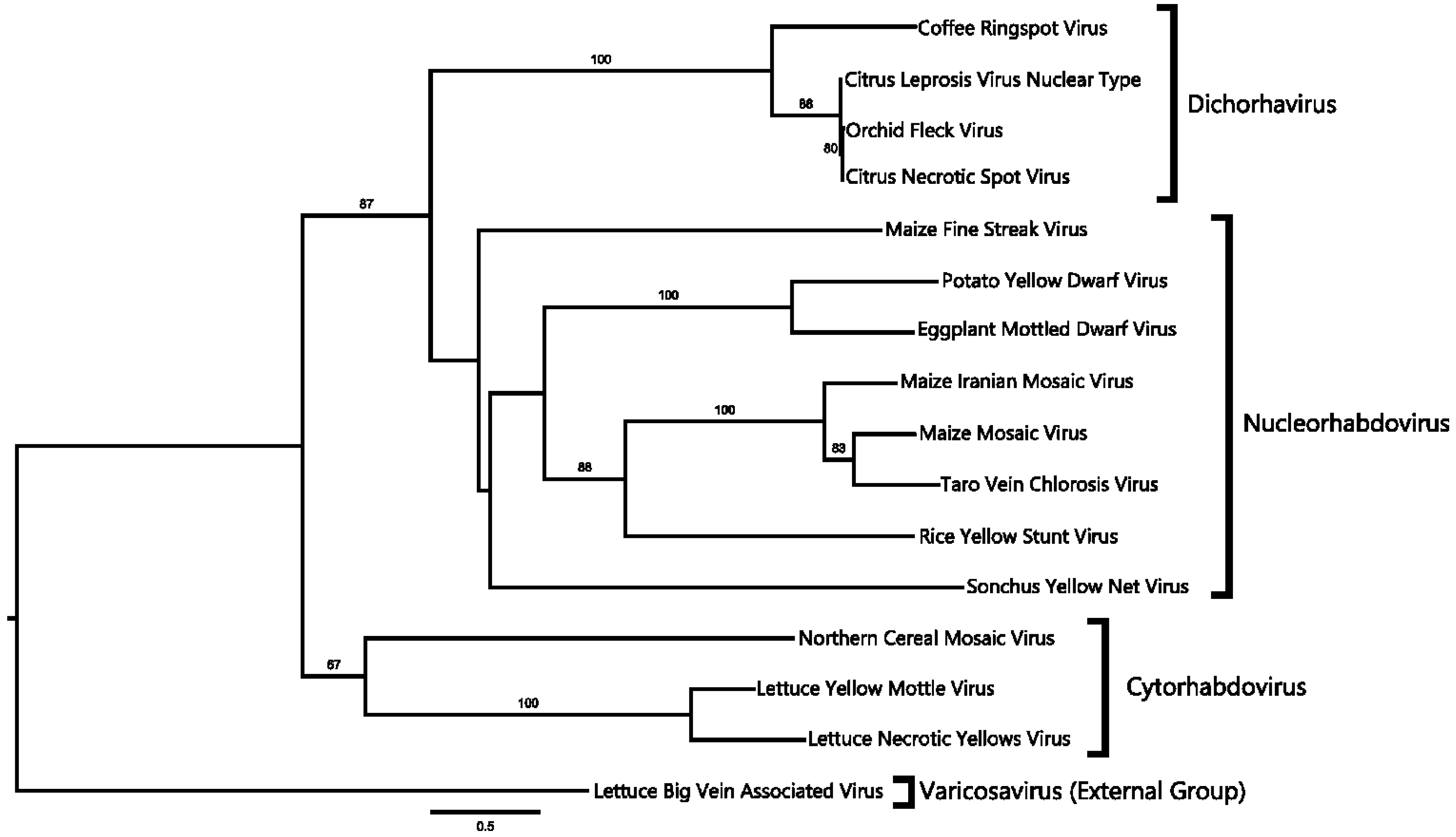 Viruses 06 02602 g003 1024