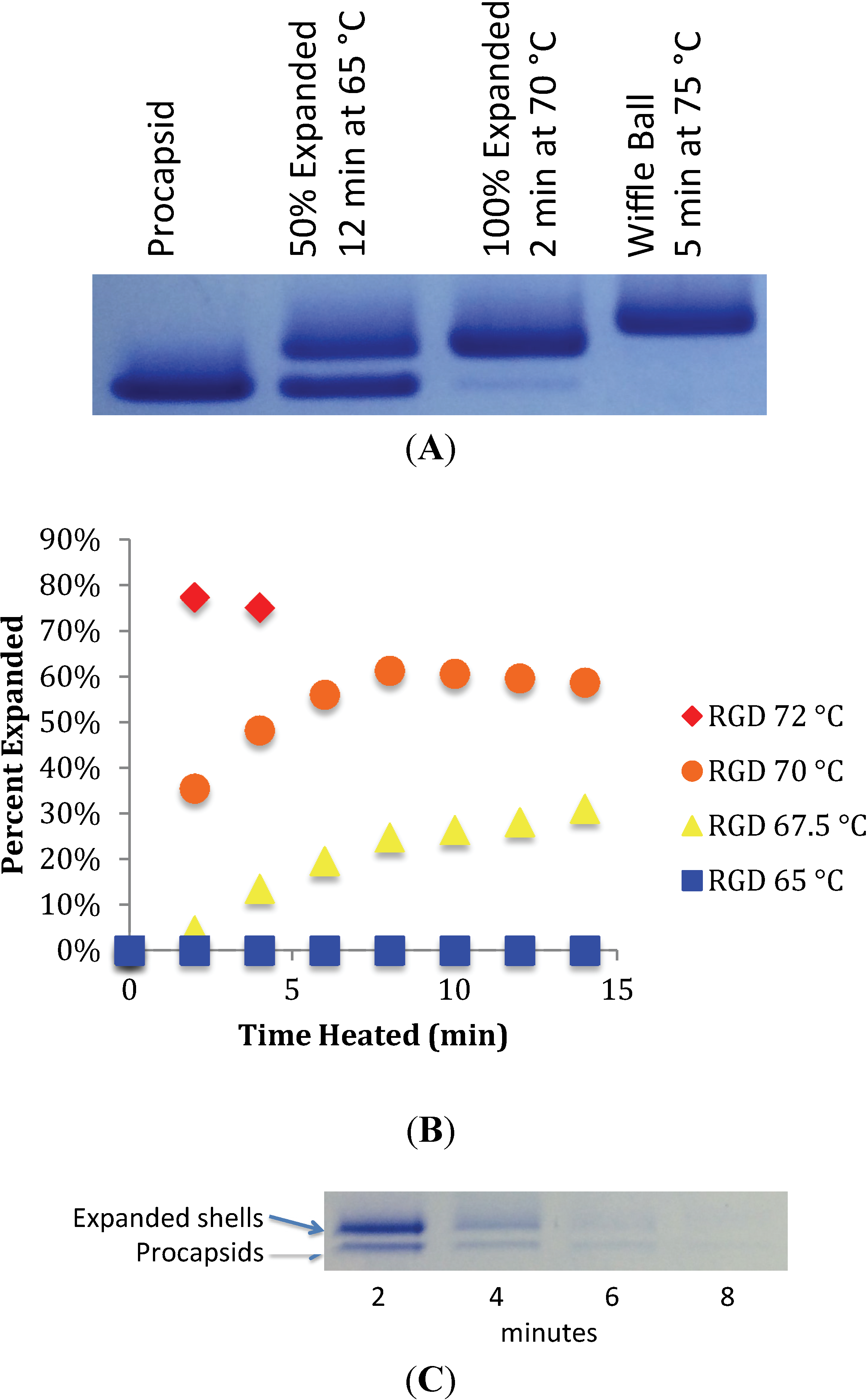 Viruses 06 02708 g002 1024