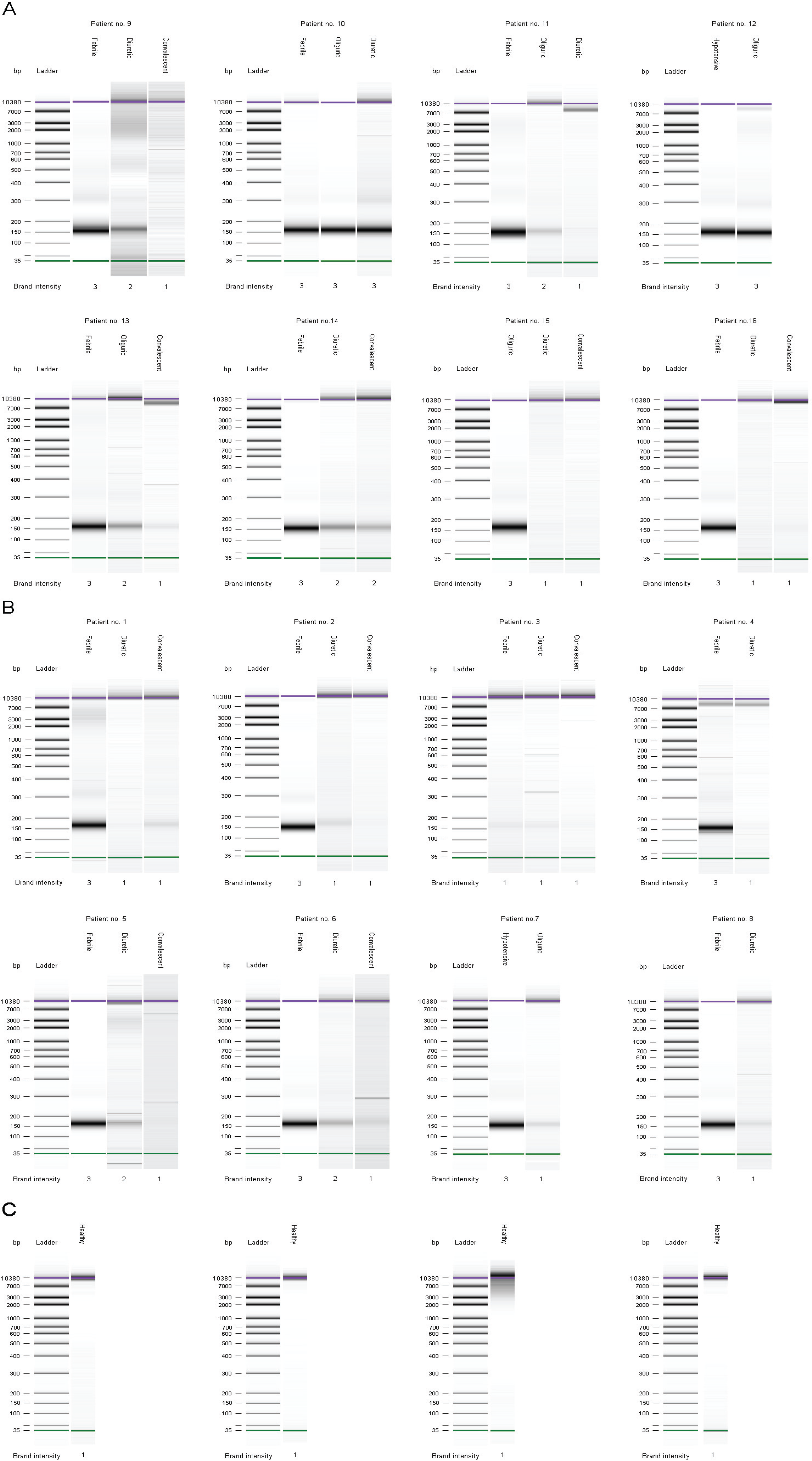 Viruses 06 02723 g003 1024