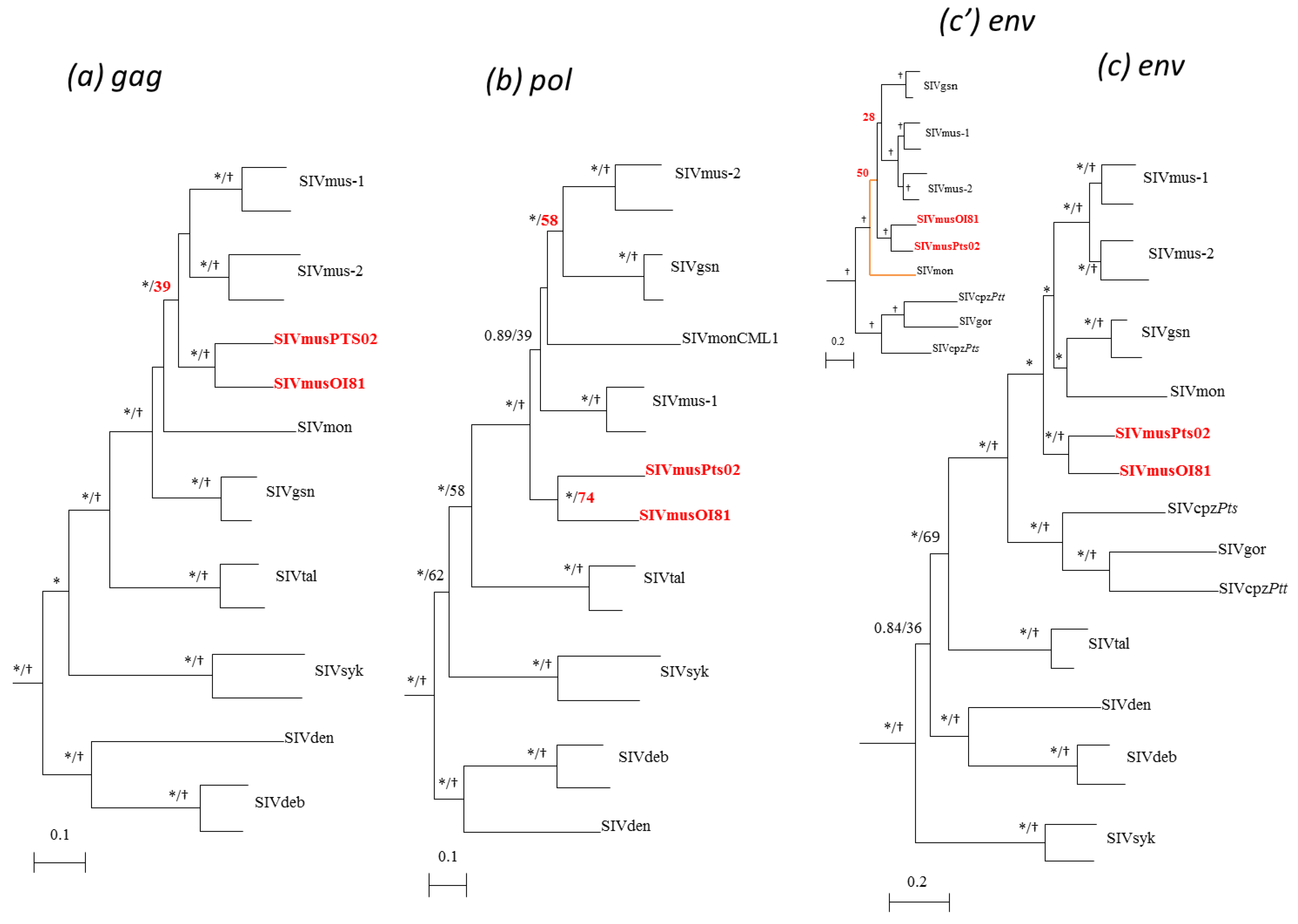 Viruses 06 02880 g003