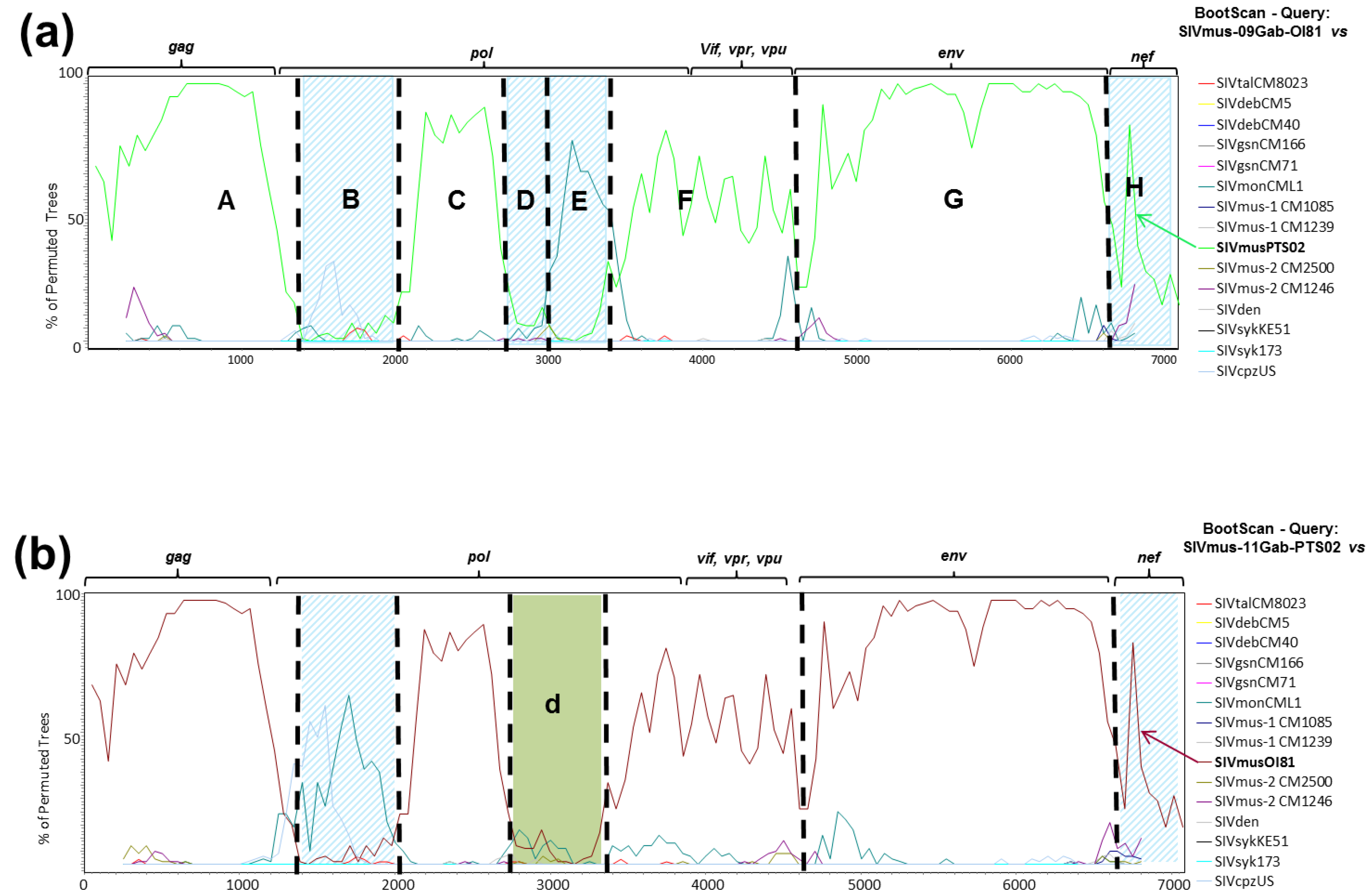Viruses 06 02880 g005
