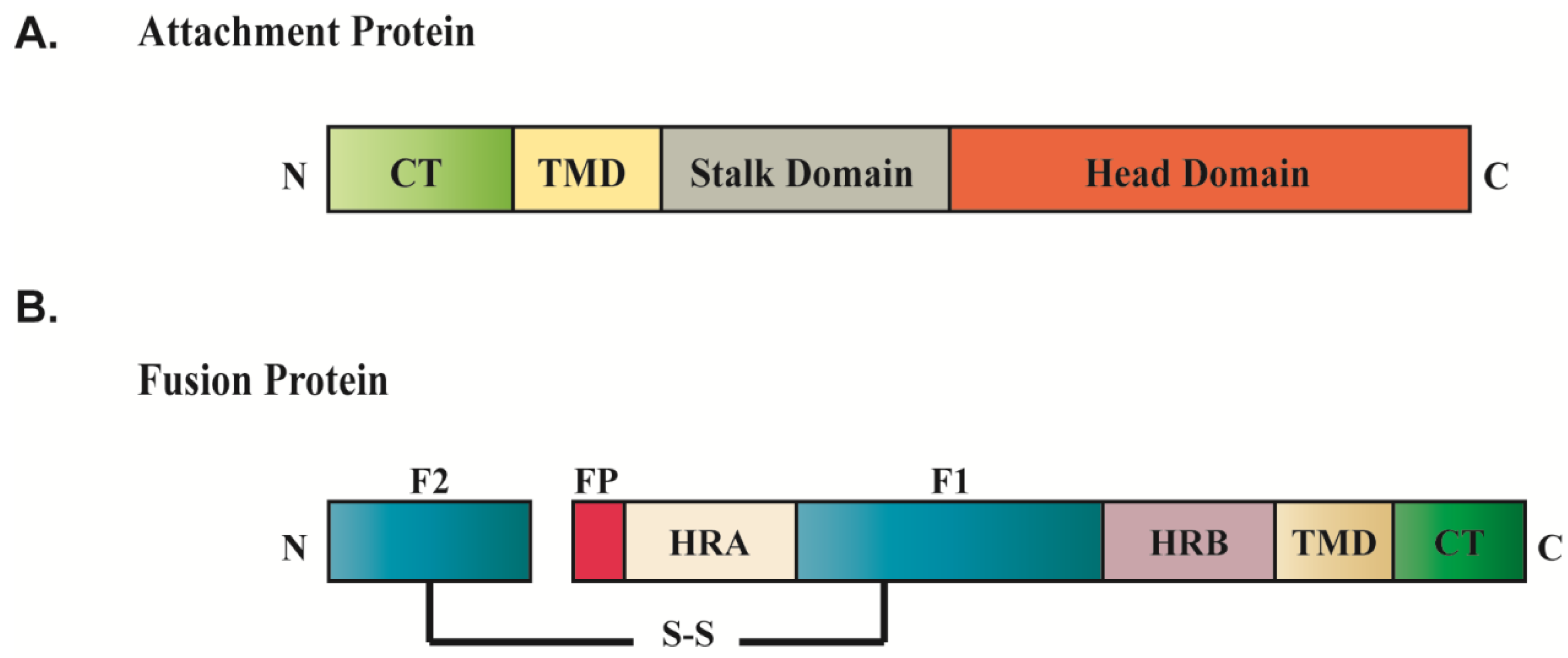 Viruses 06 03019 g002