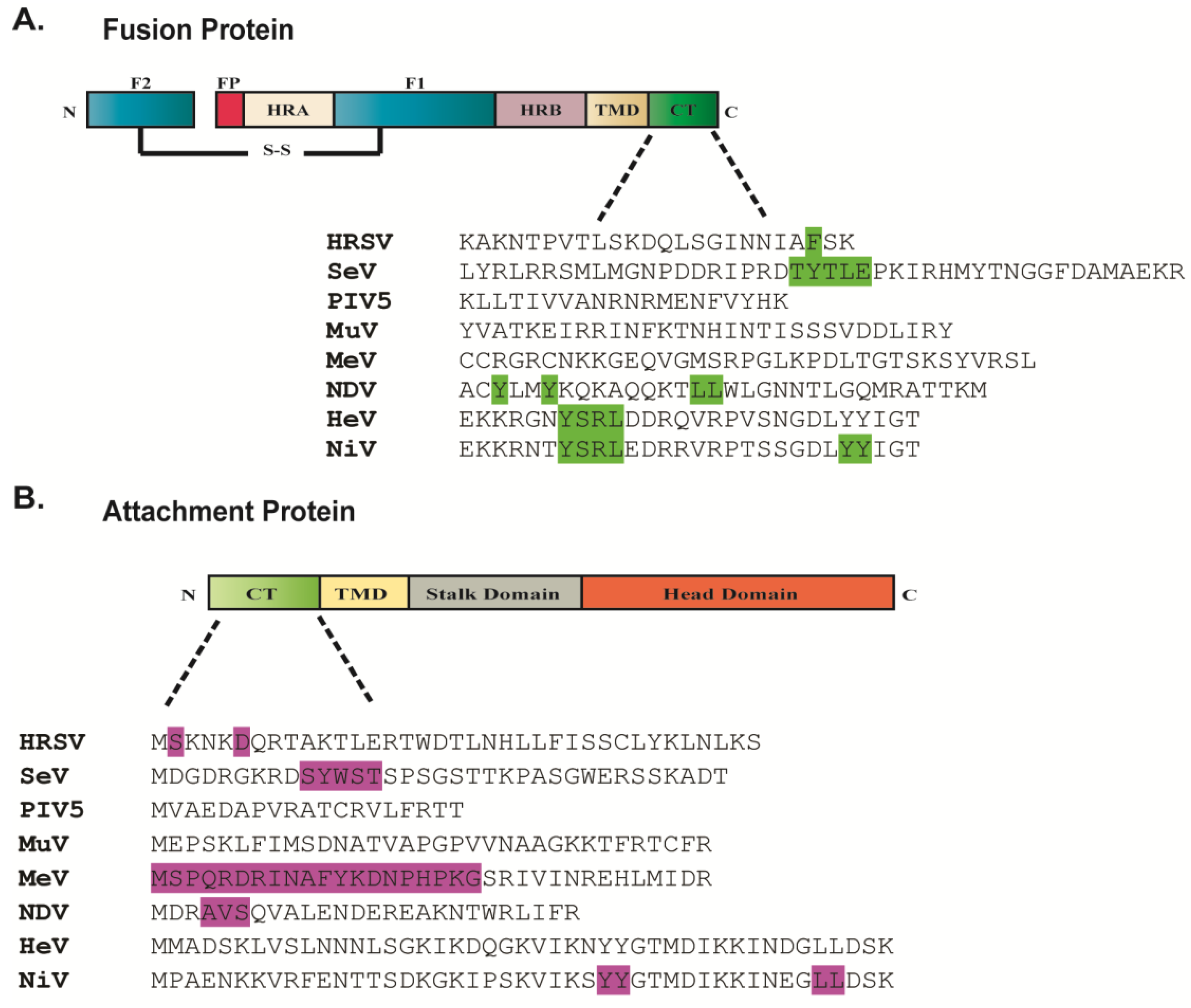 Viruses 06 03019 g003