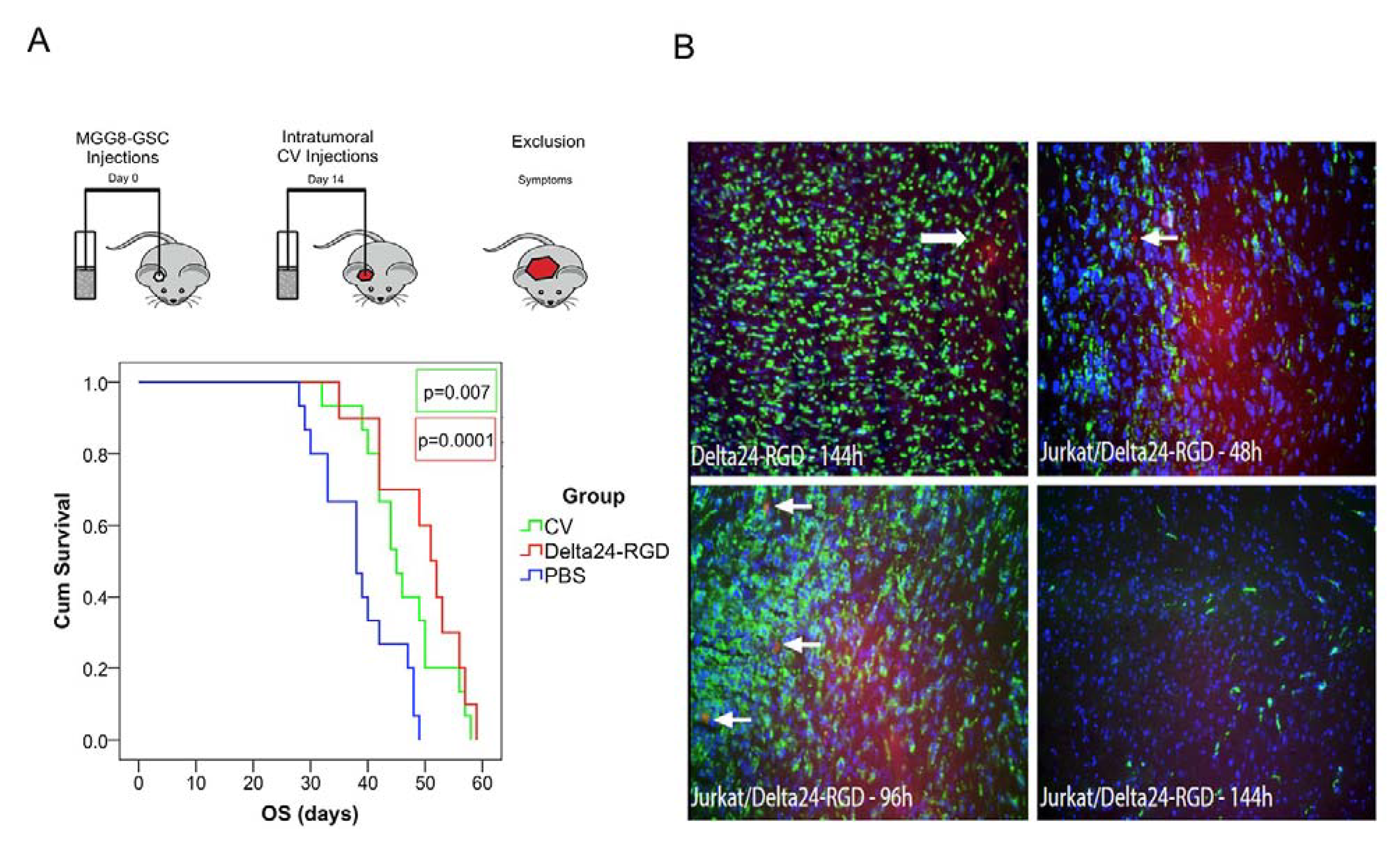 Viruses 06 03080 g005