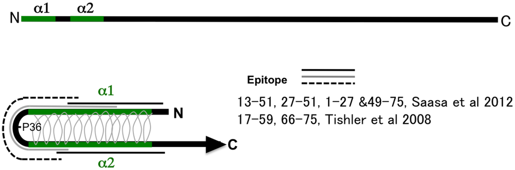 Viruses 06 03097 g001 1024