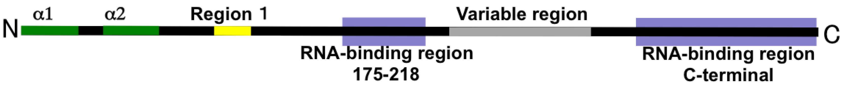 Viruses 06 03097 g002 1024